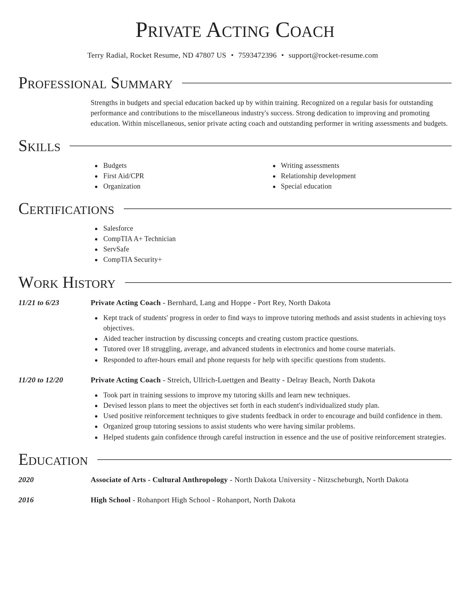 Director resume template