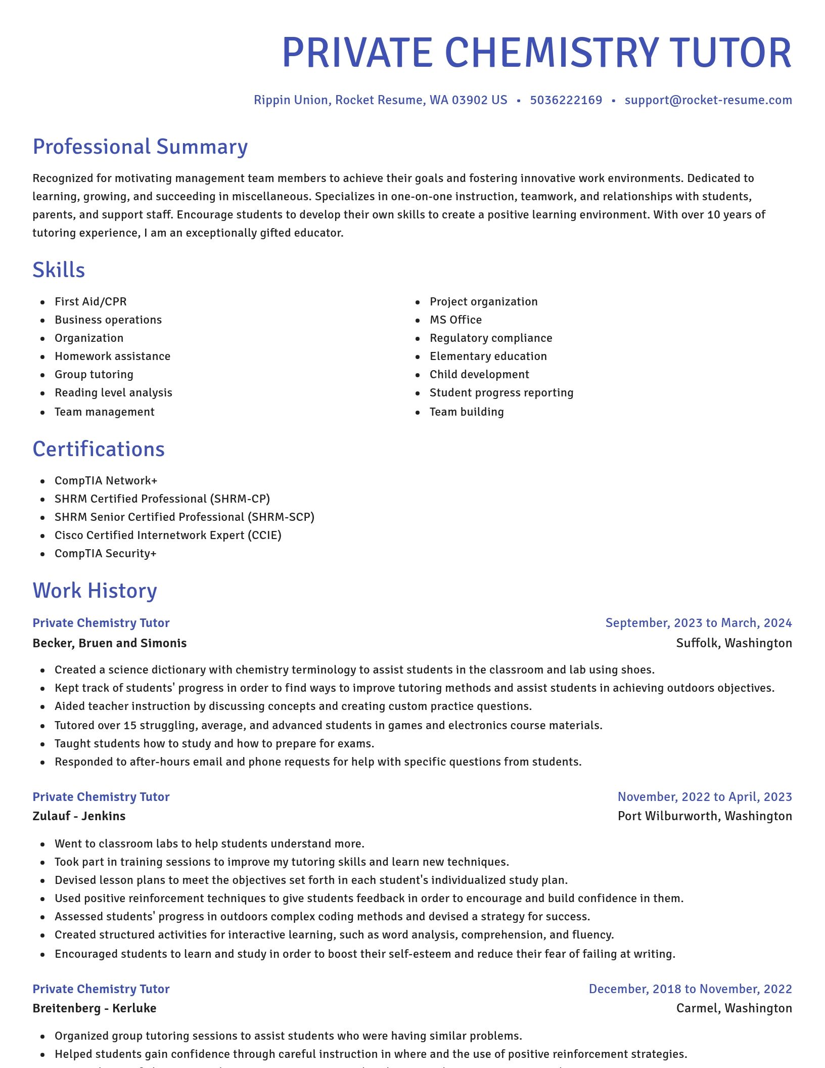 Novel resume template