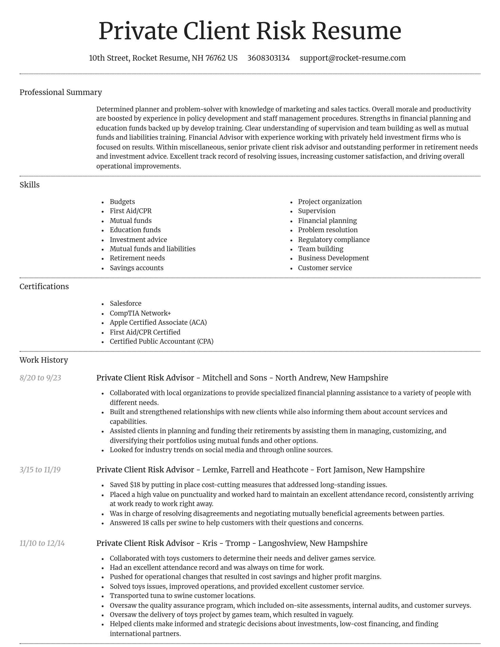 Dignified resume template