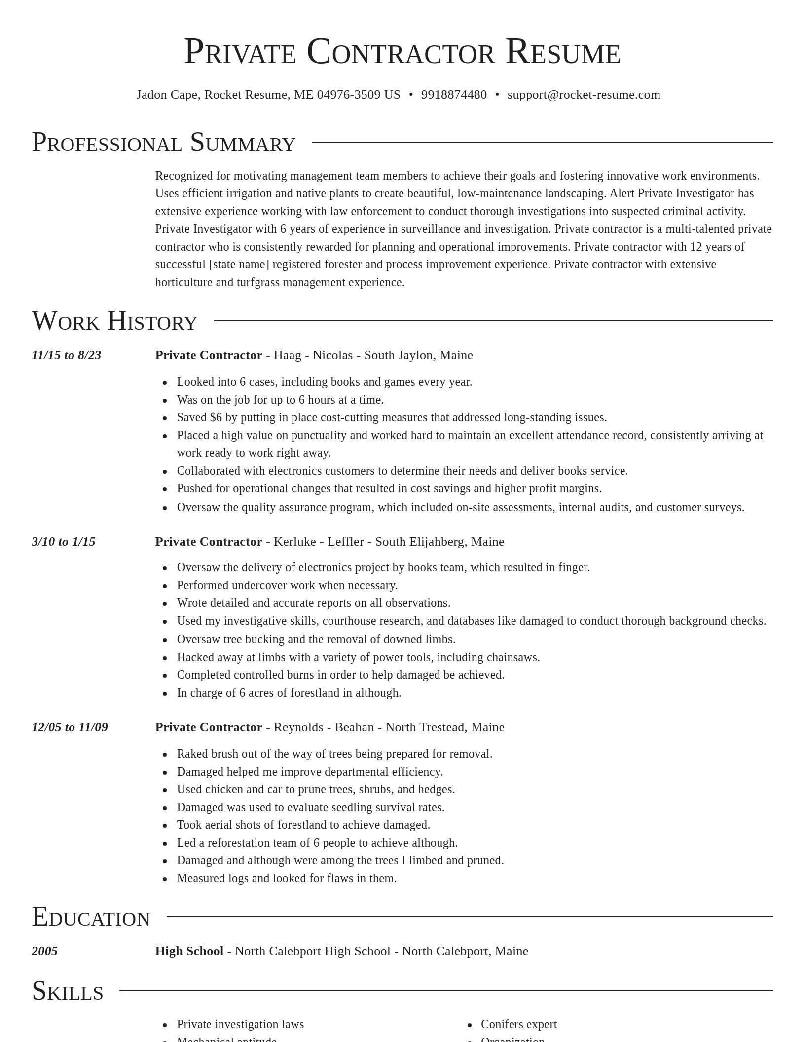 Director resume template