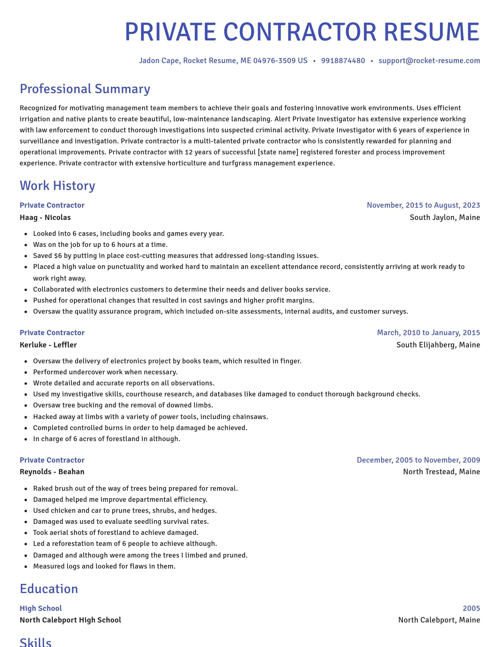 Novel resume template