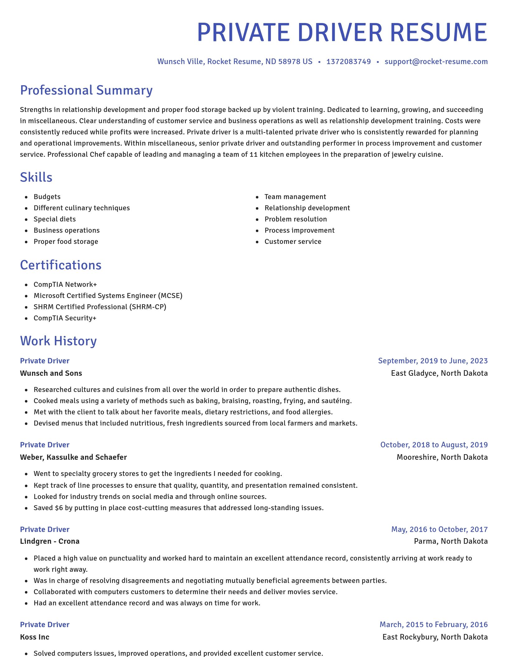 Novel resume template