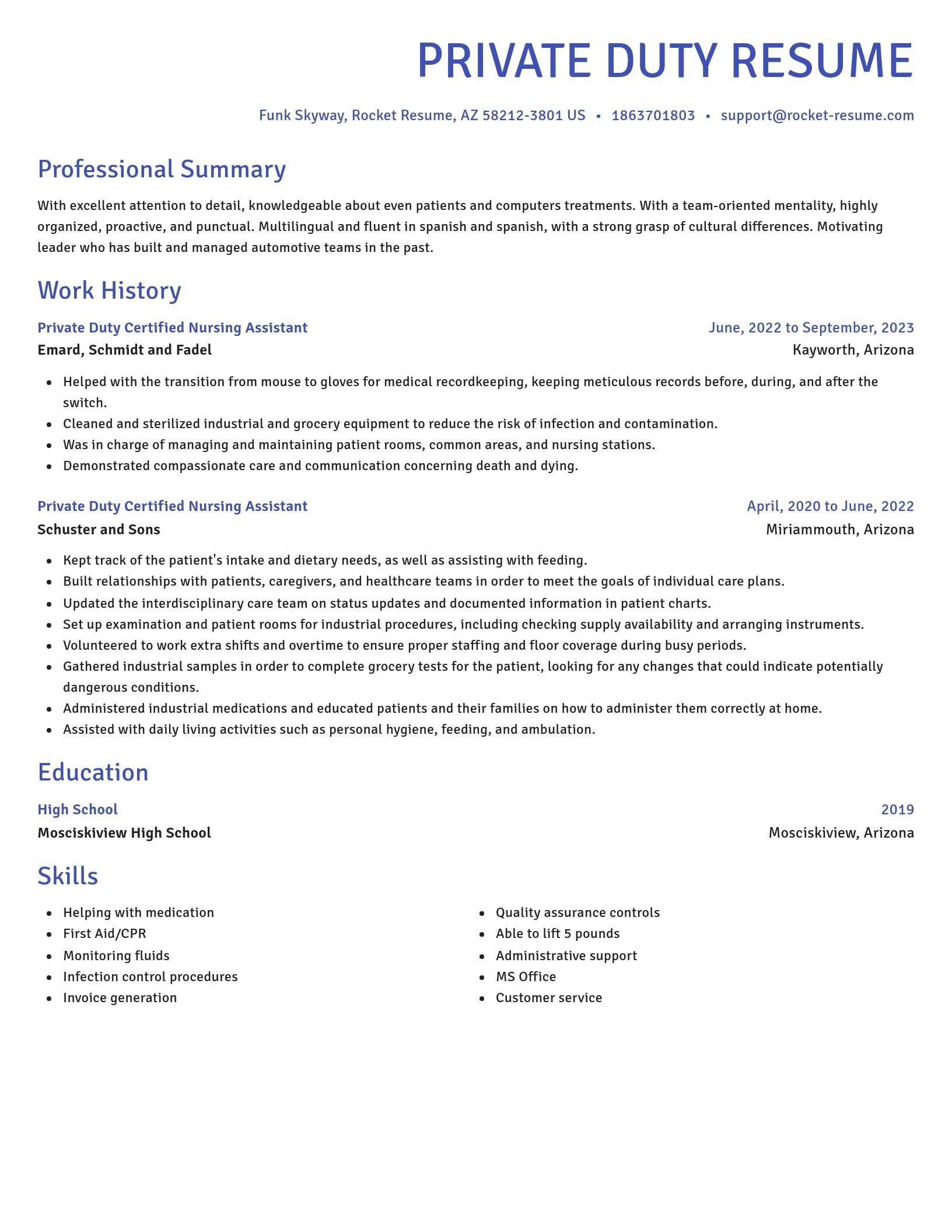 Novel resume template