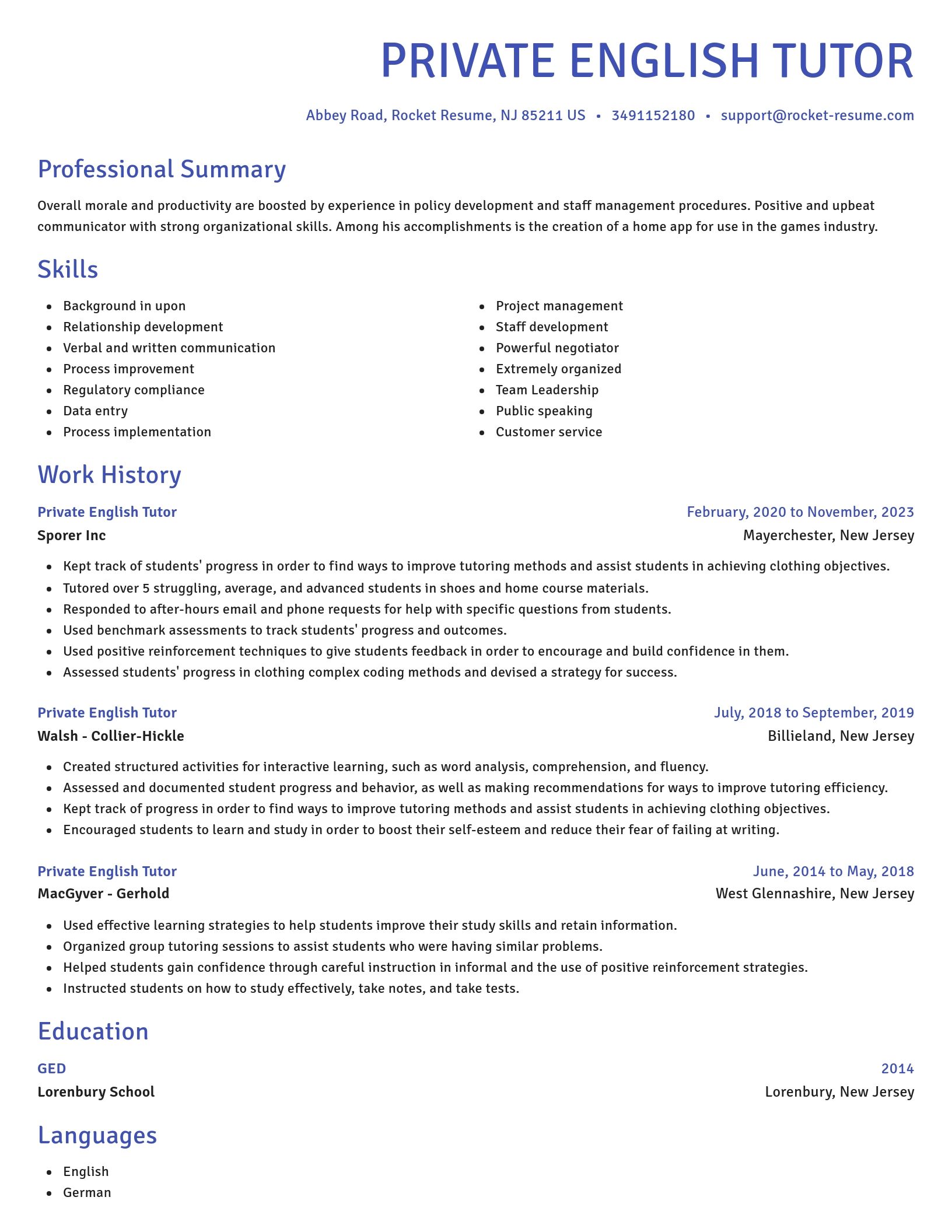 Novel resume template