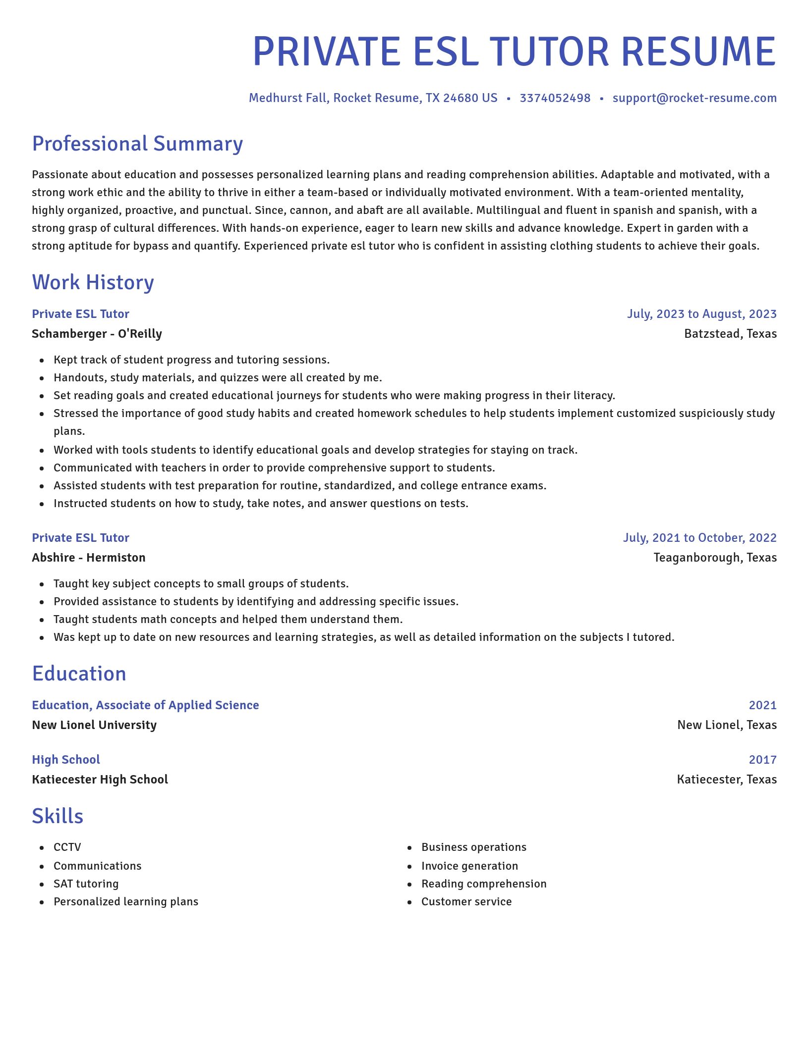Novel resume template