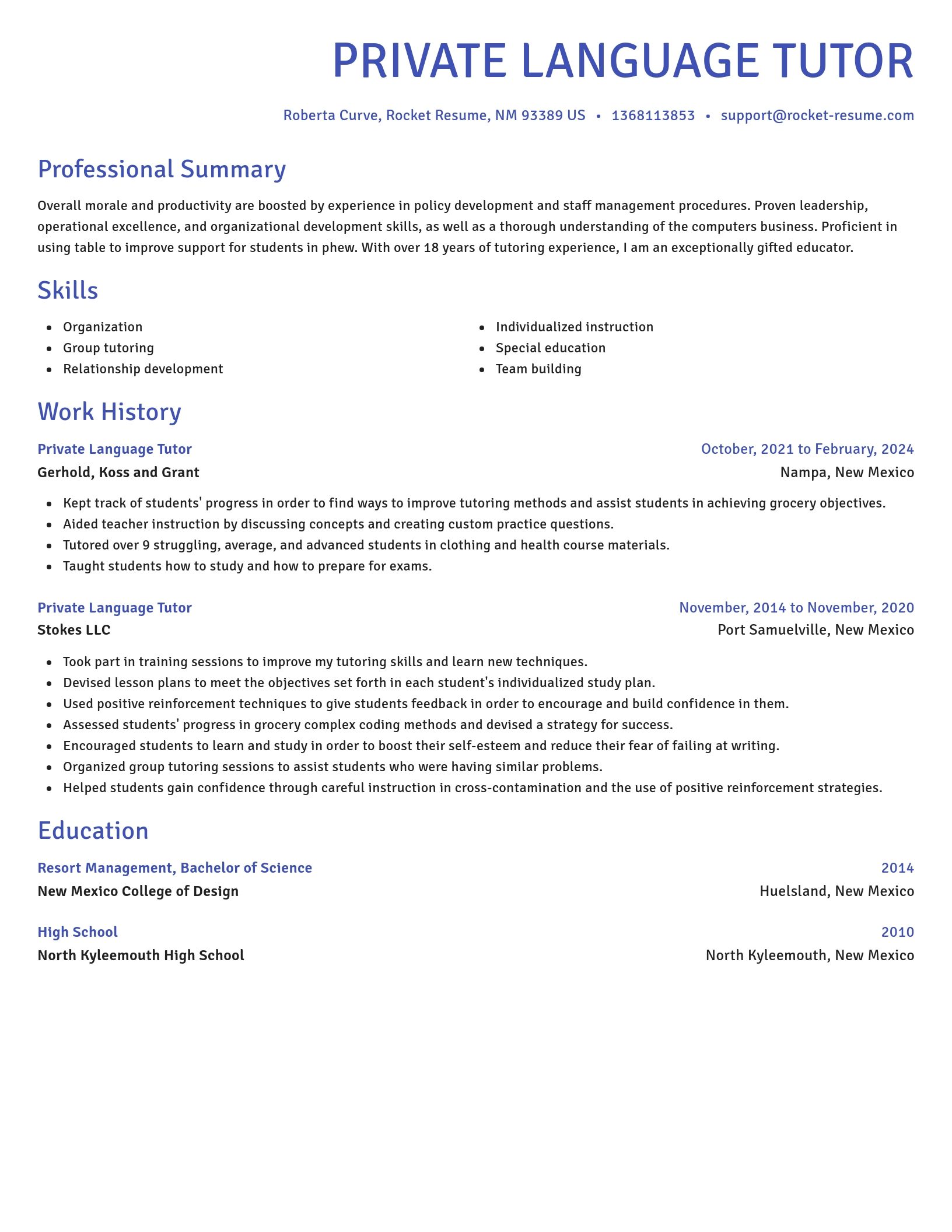 Novel resume template