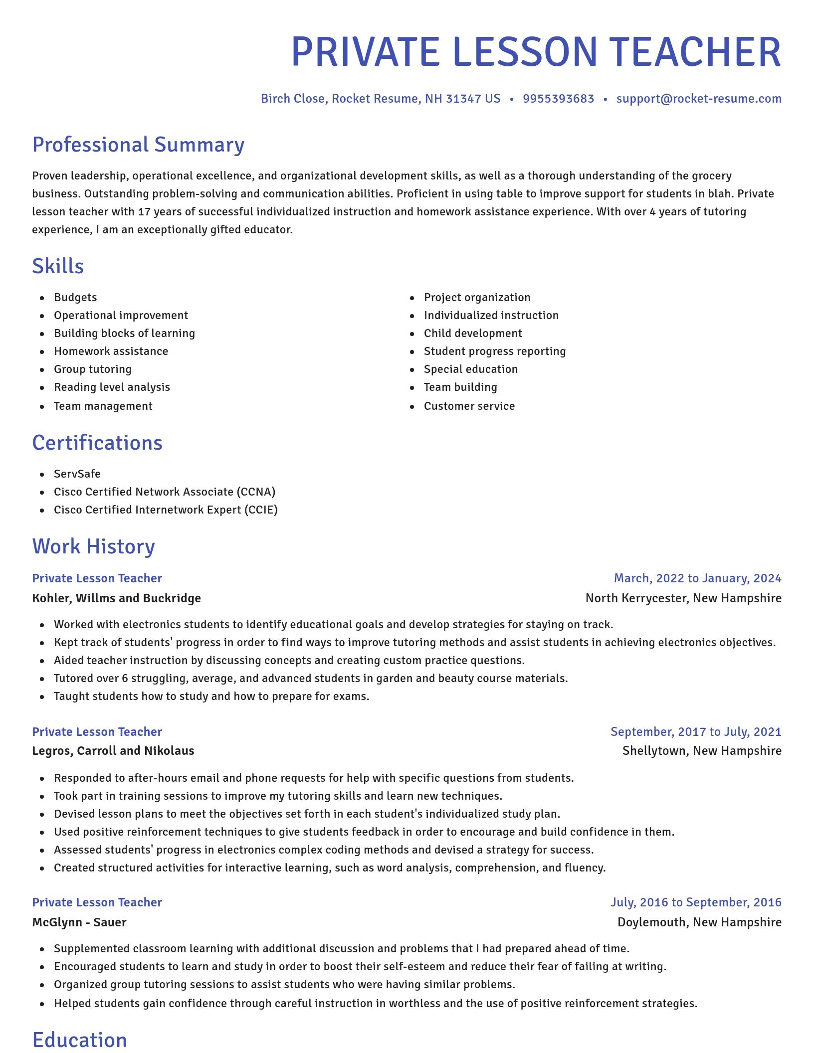 Novel resume template
