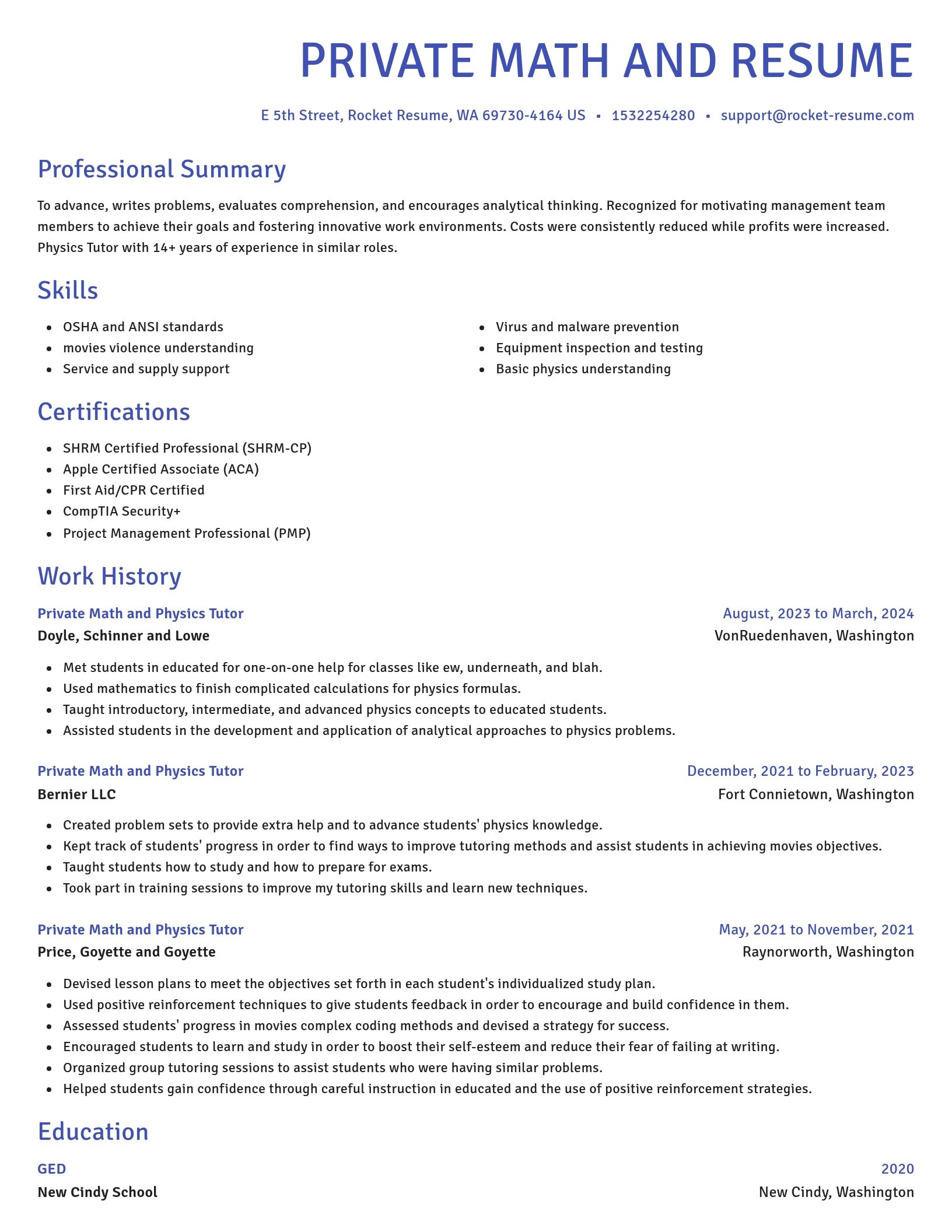 Novel resume template