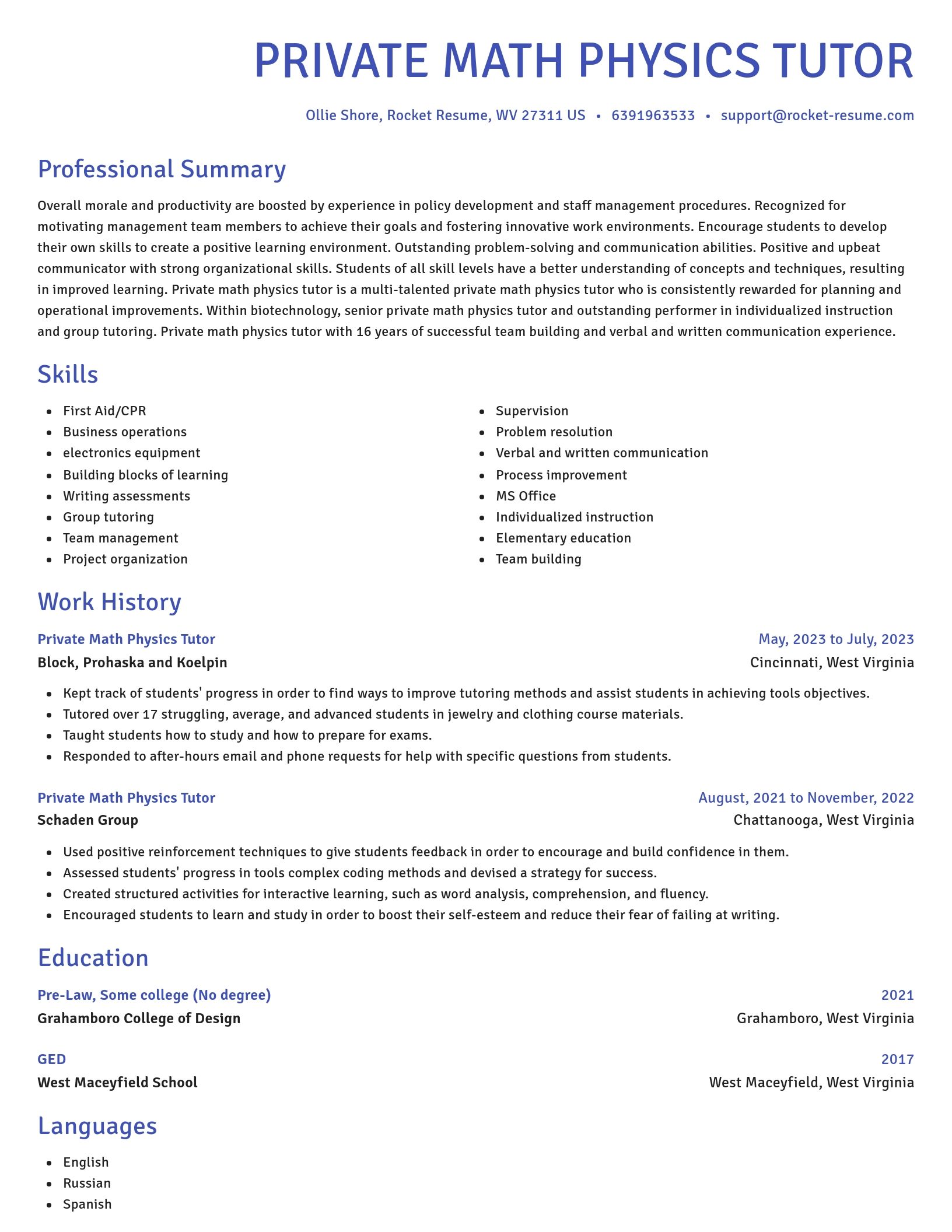 Novel resume template