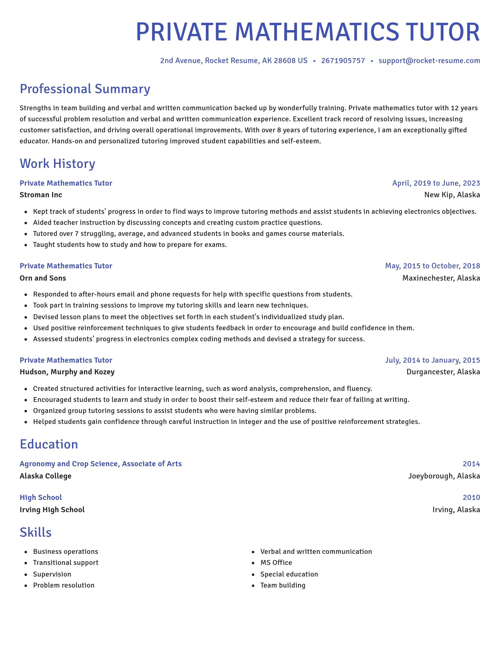 Novel resume template