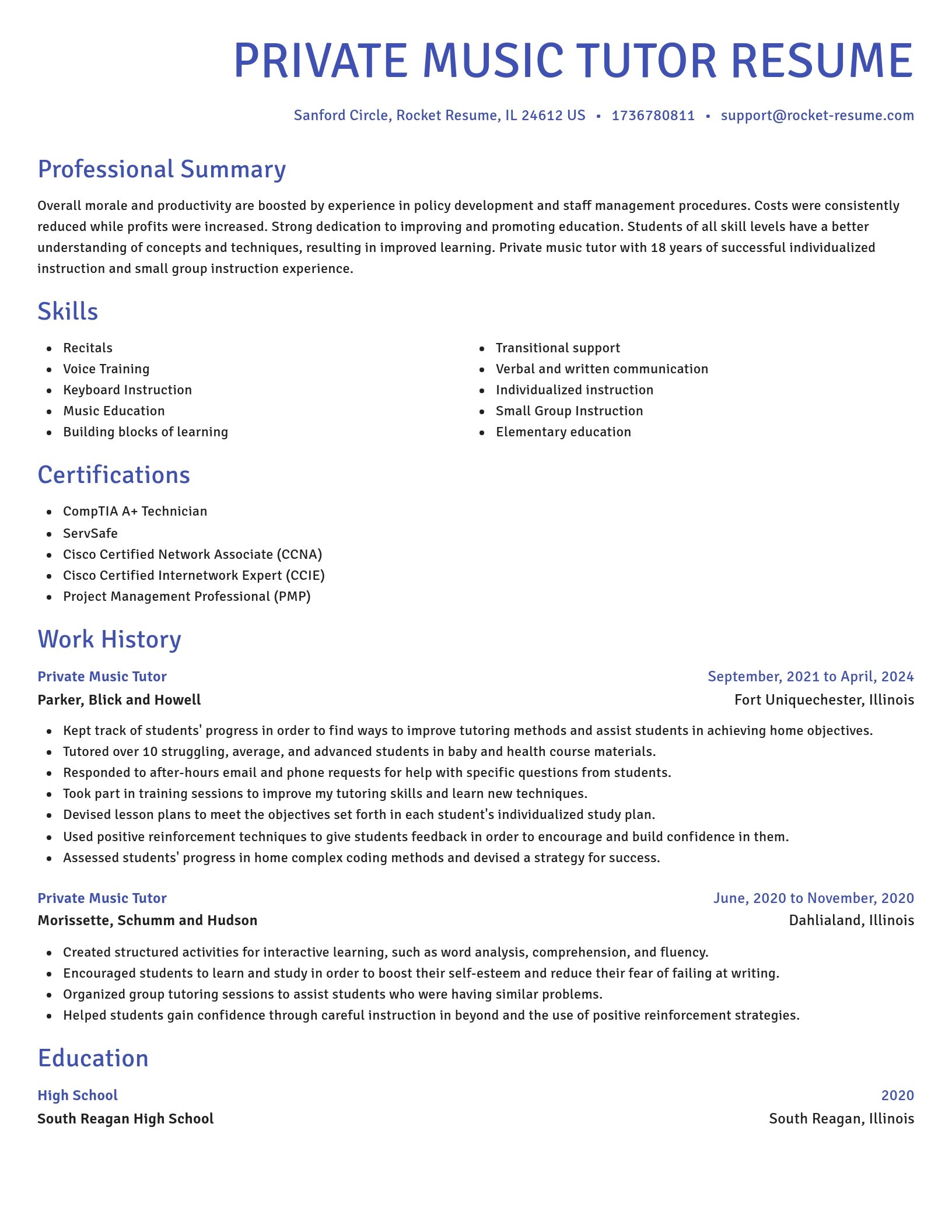 Novel resume template