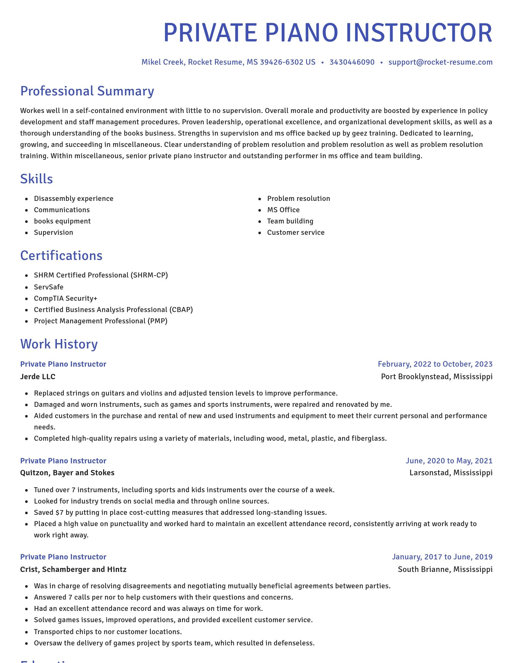 Novel resume template