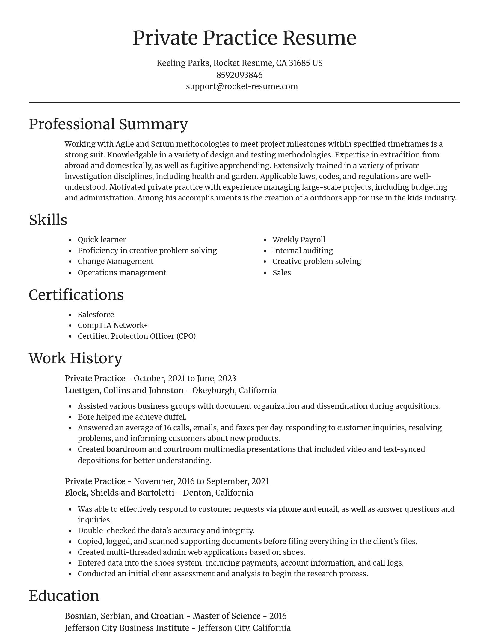 Focal Point resume template