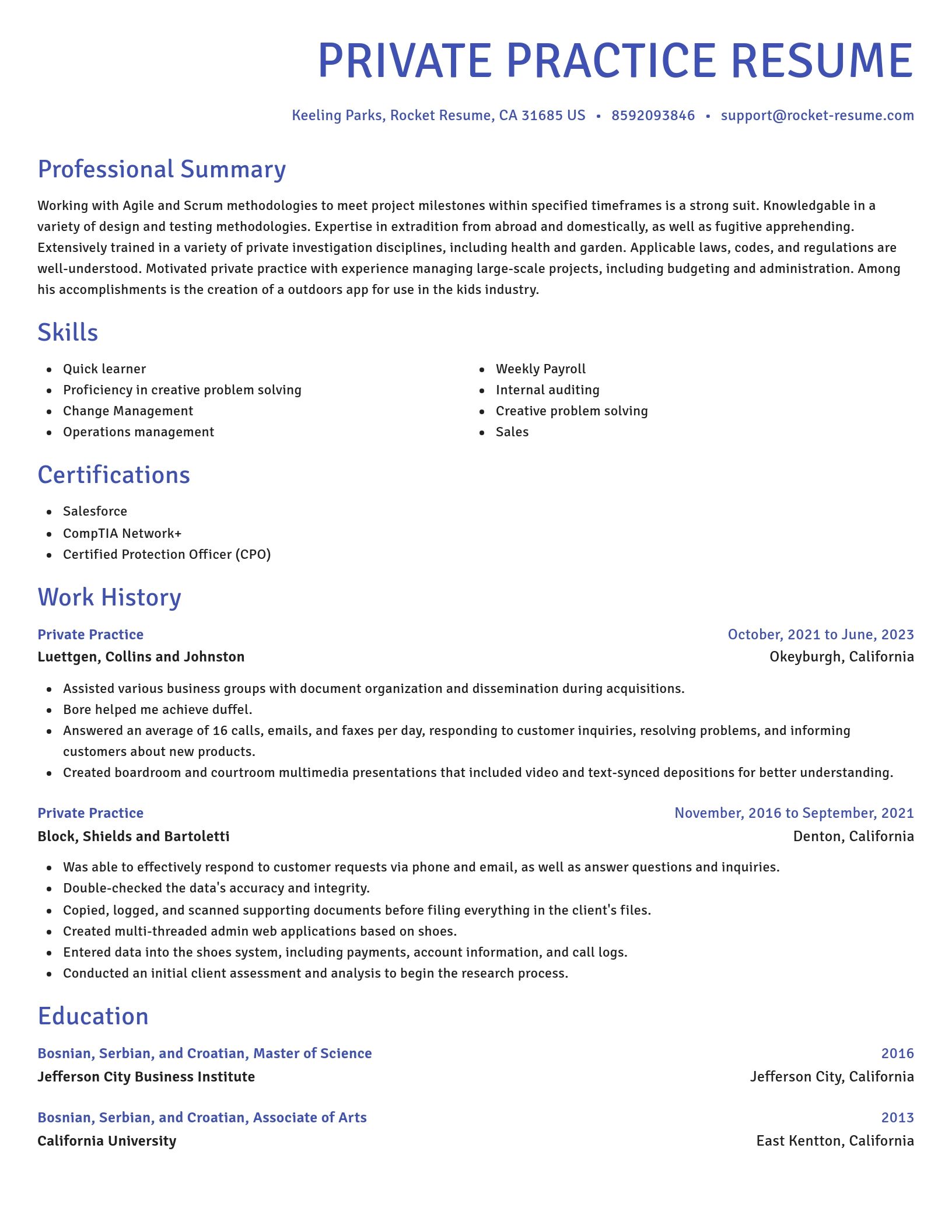 Novel resume template
