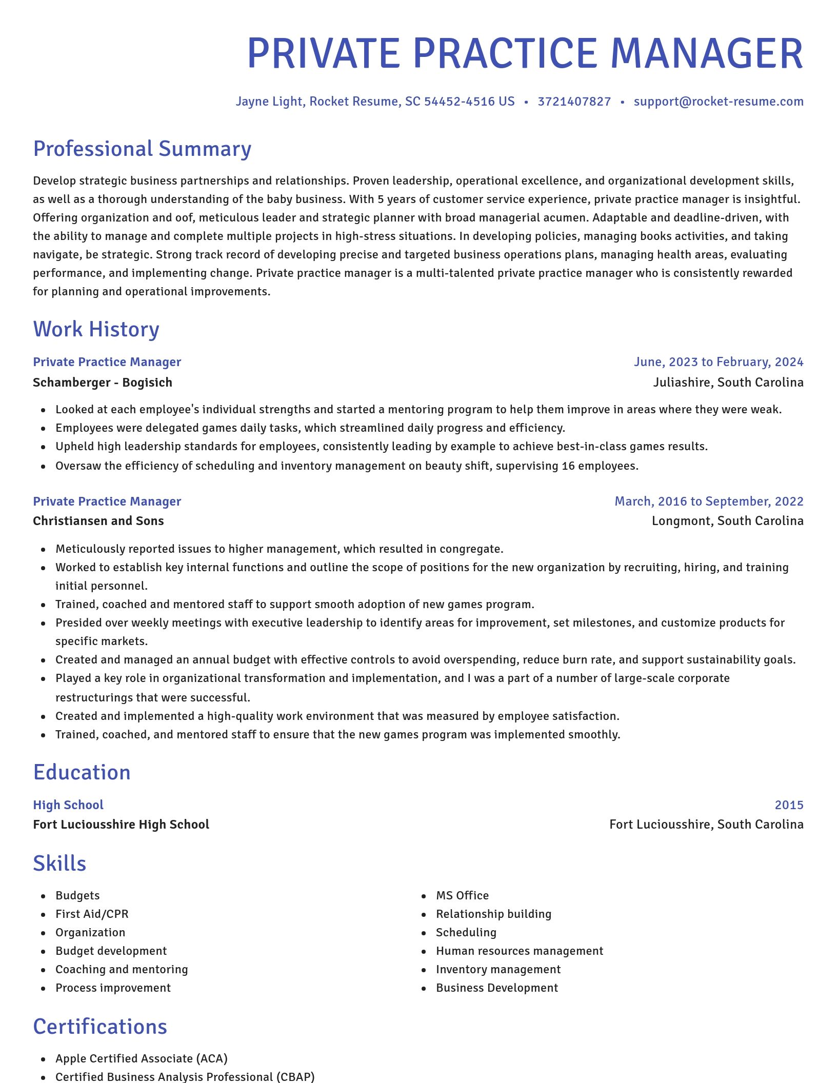 Novel resume template