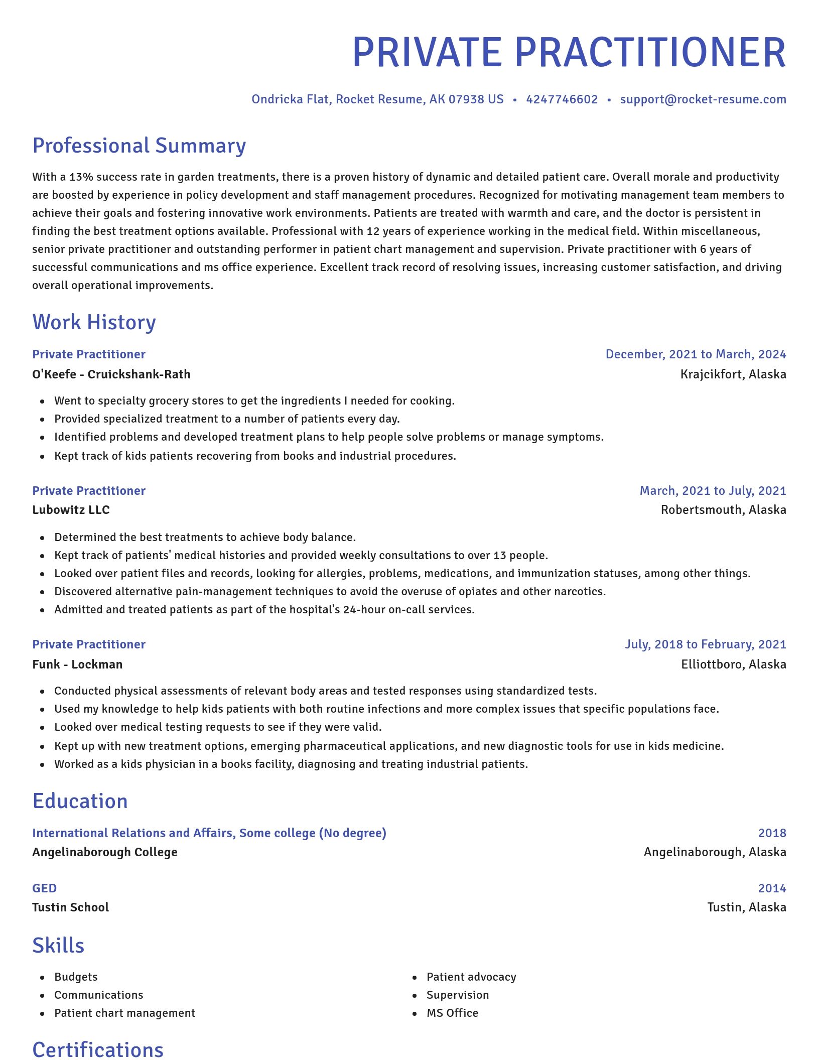 Novel resume template