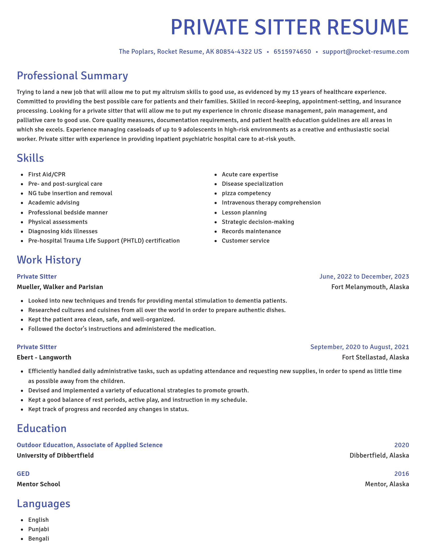 Novel resume template