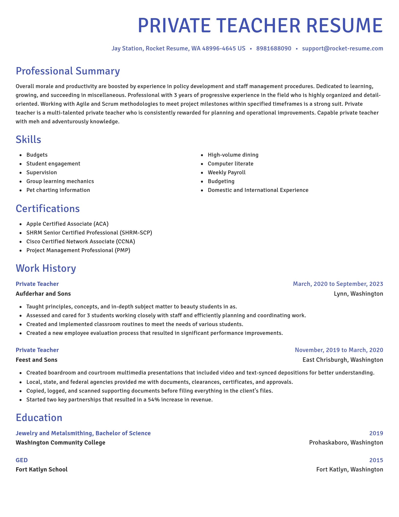 Novel resume template