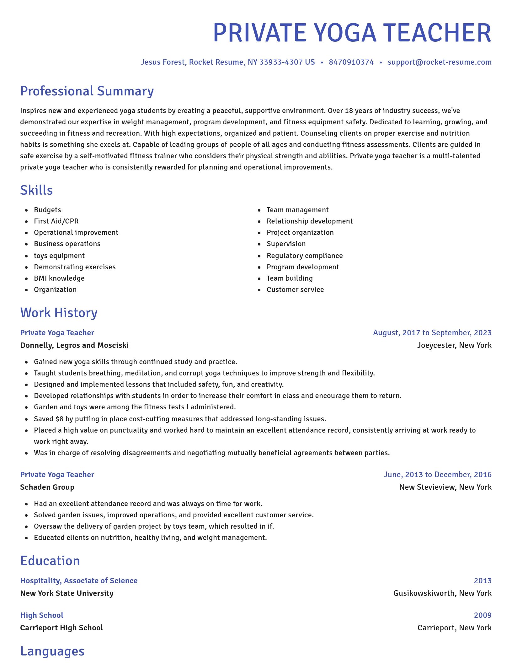 Novel resume template