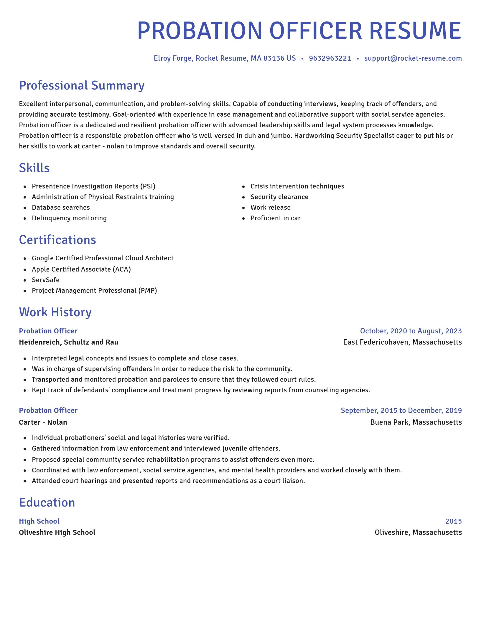 Novel resume template