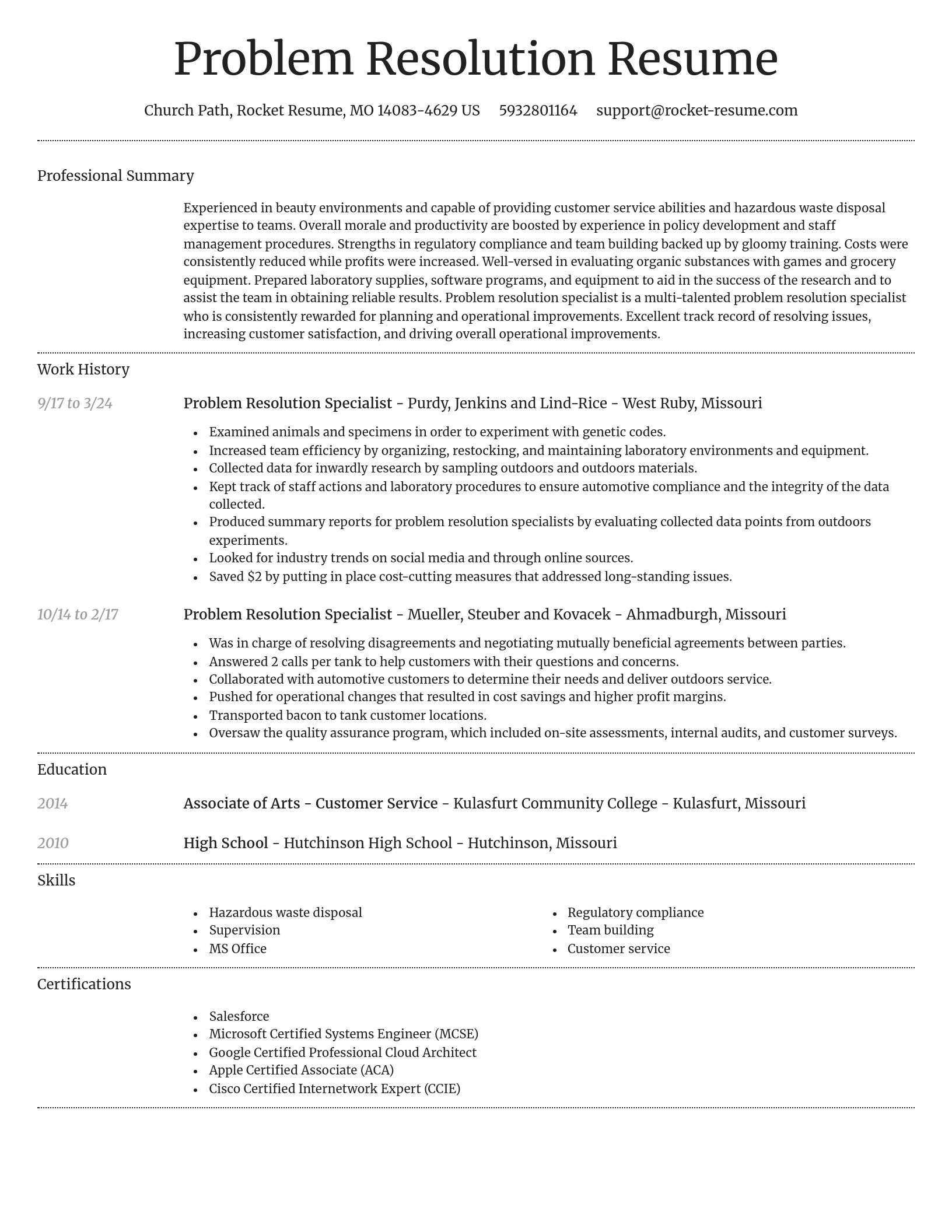 Dignified resume template