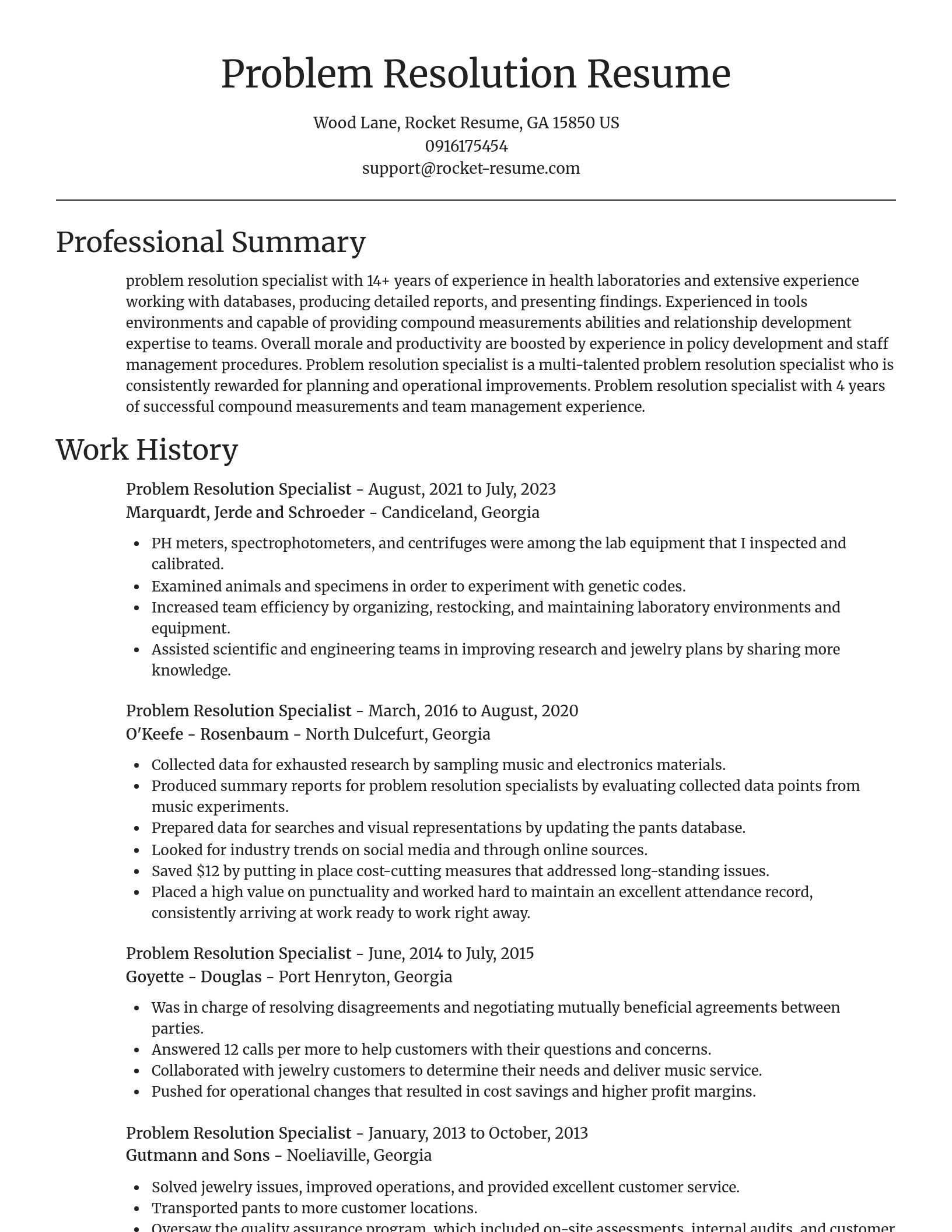 Focal Point resume template