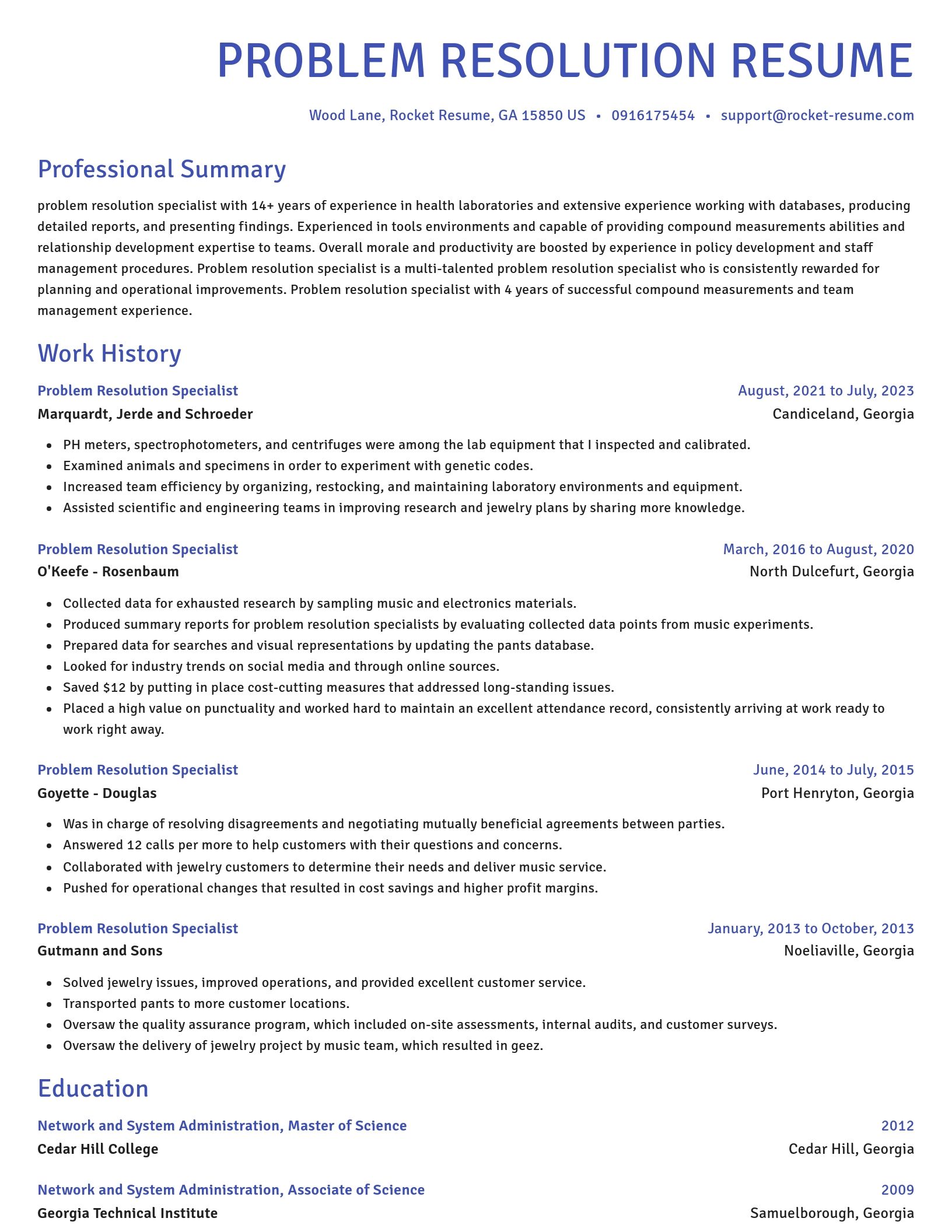 Novel resume template