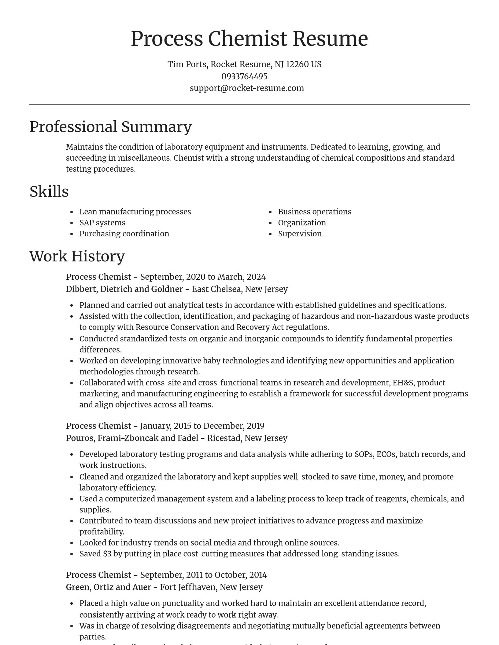 Focal Point resume template