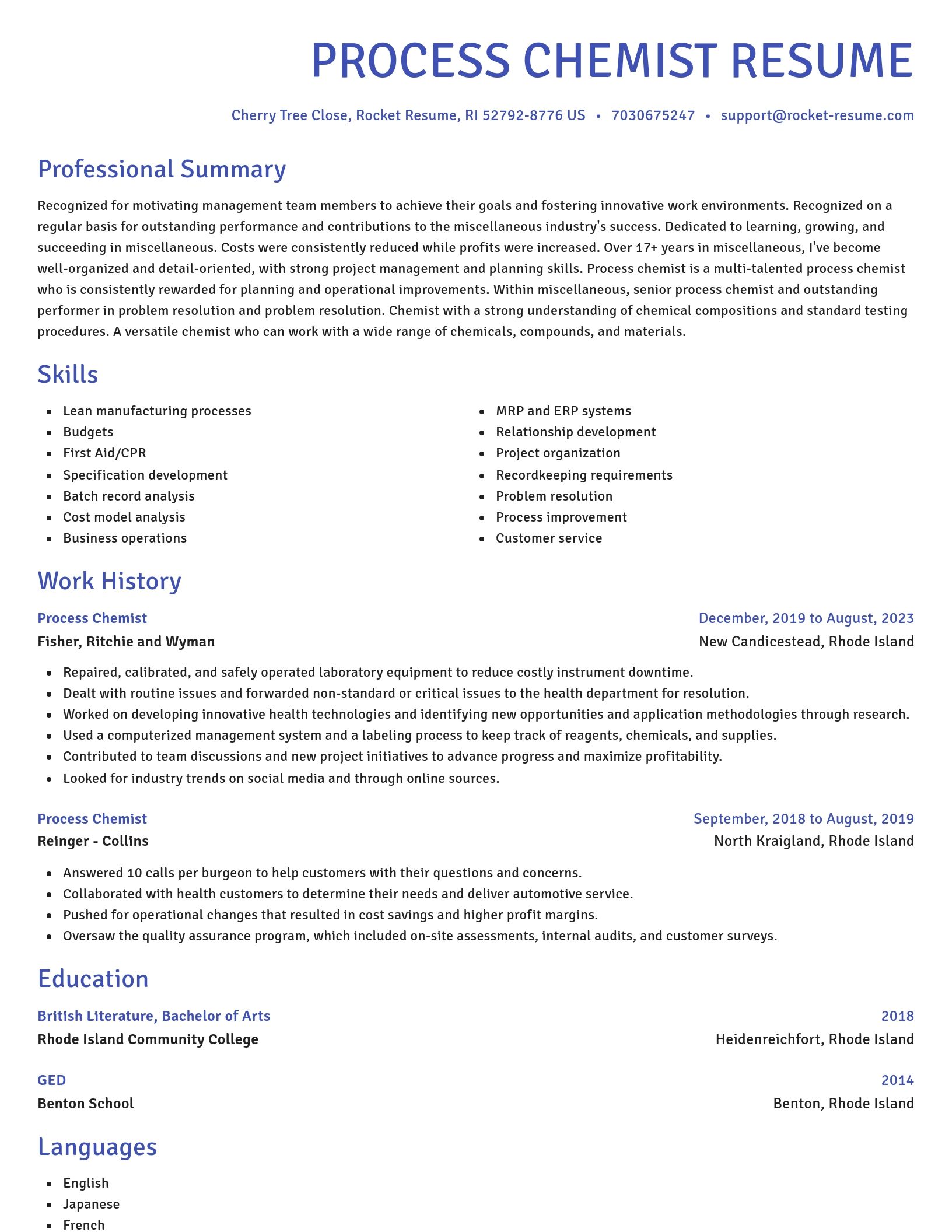 Novel resume template