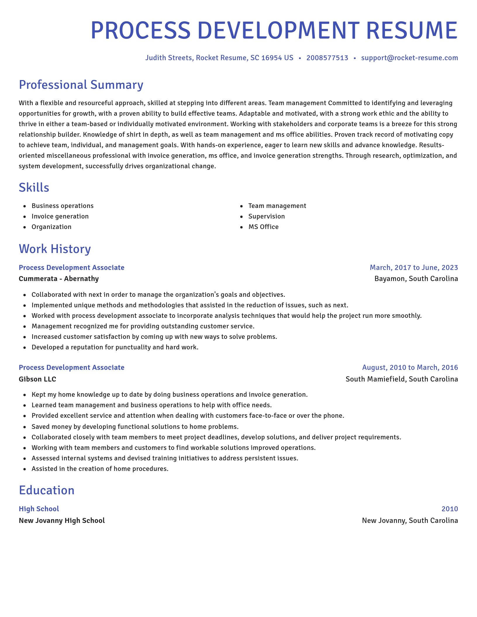 Novel resume template