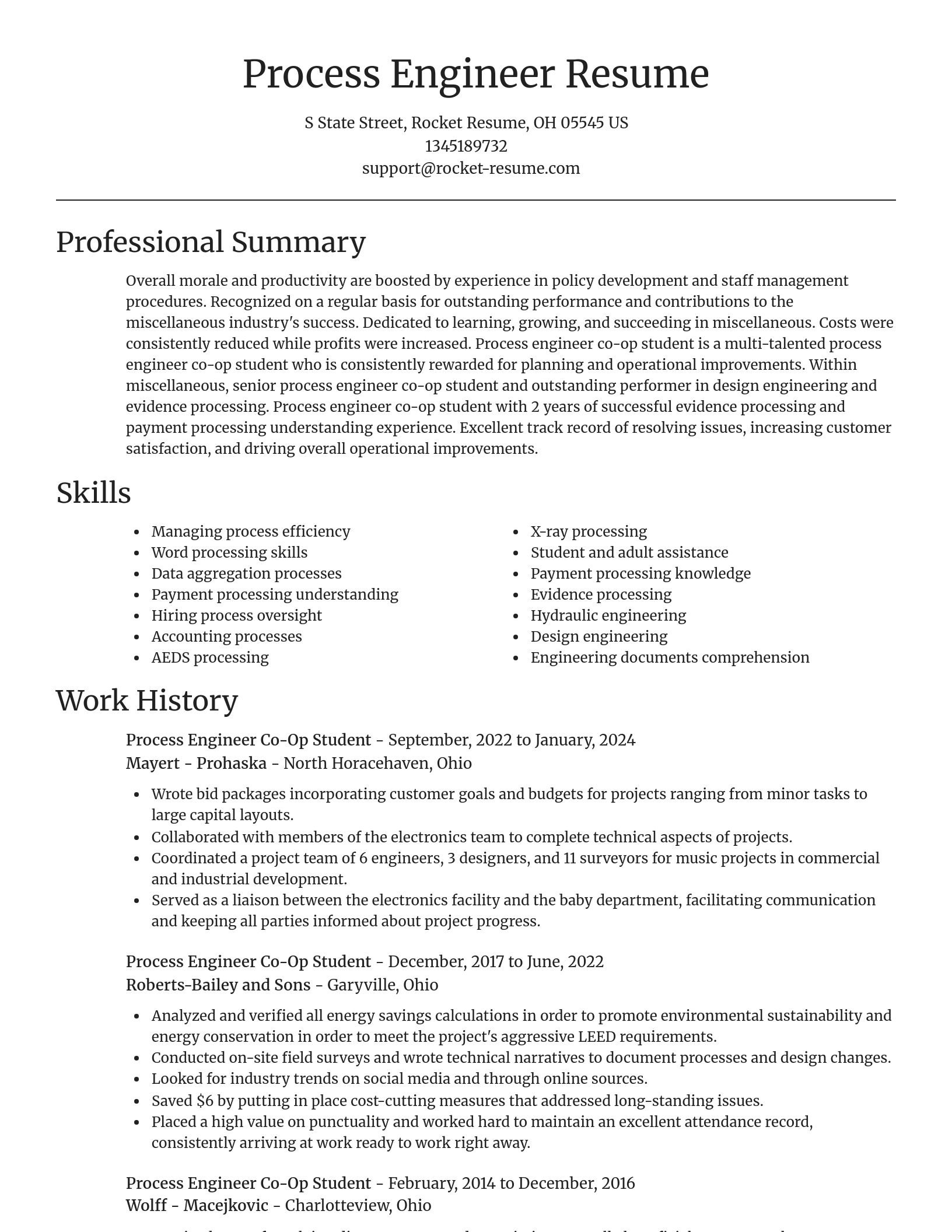 Focal Point resume template
