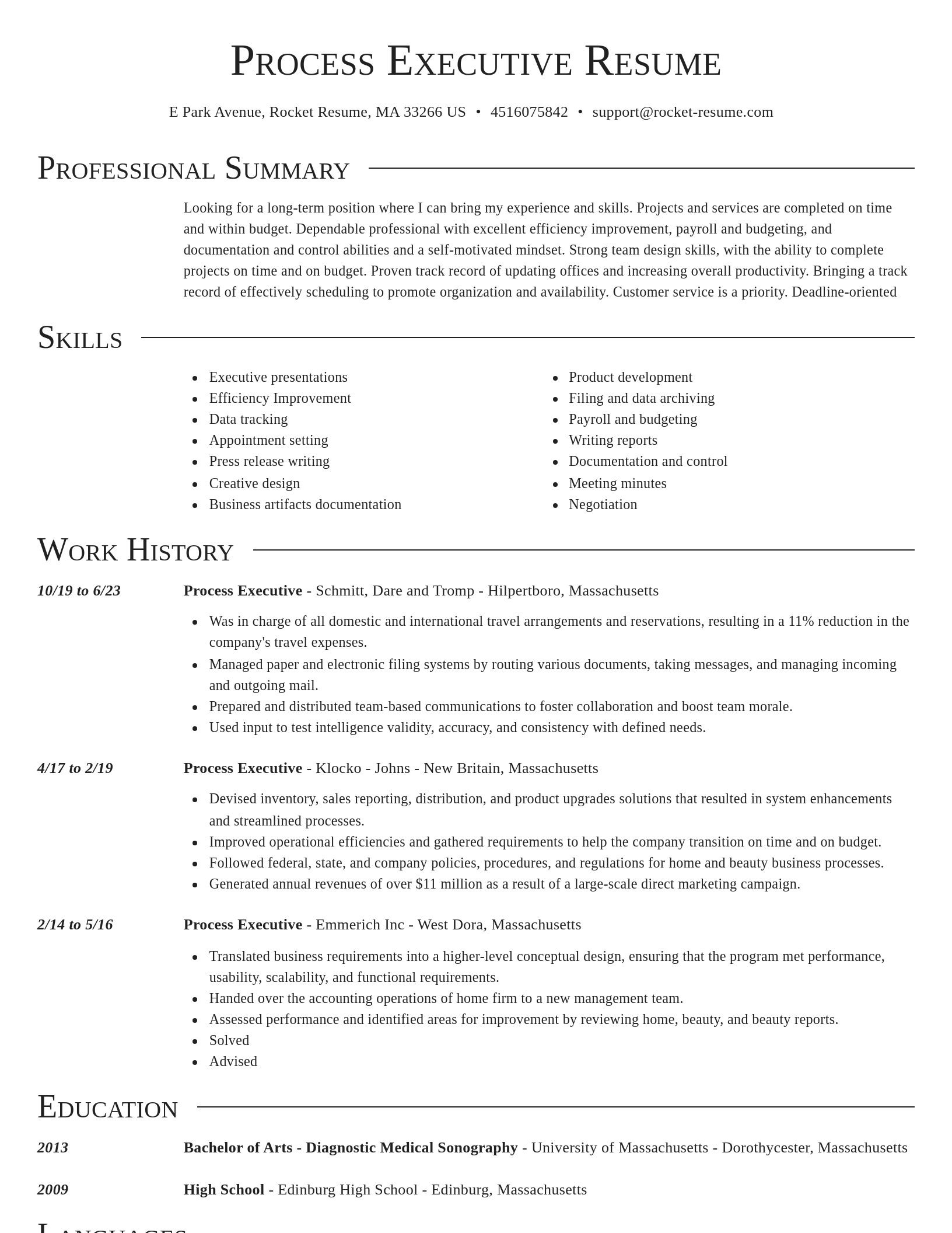 Director resume template
