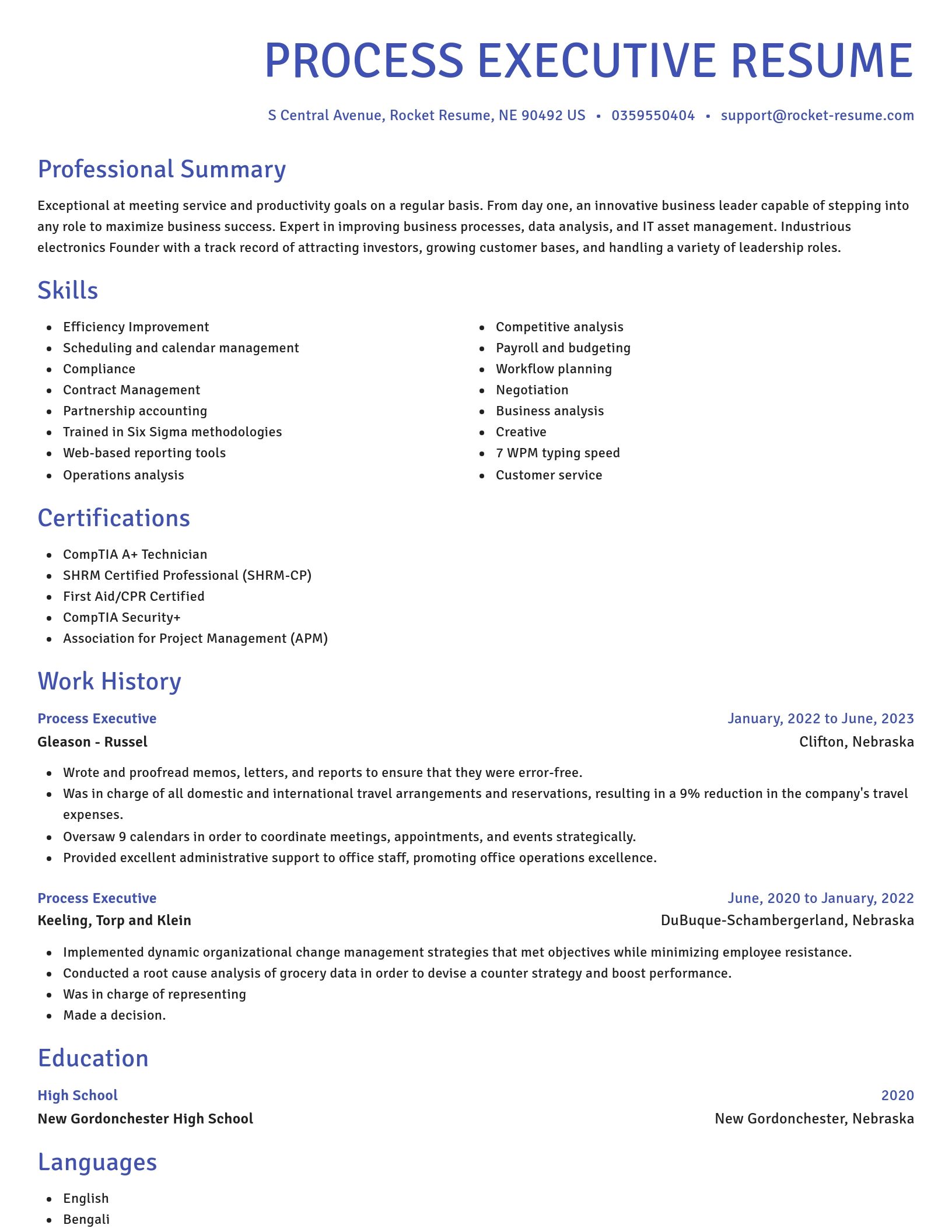 Novel resume template
