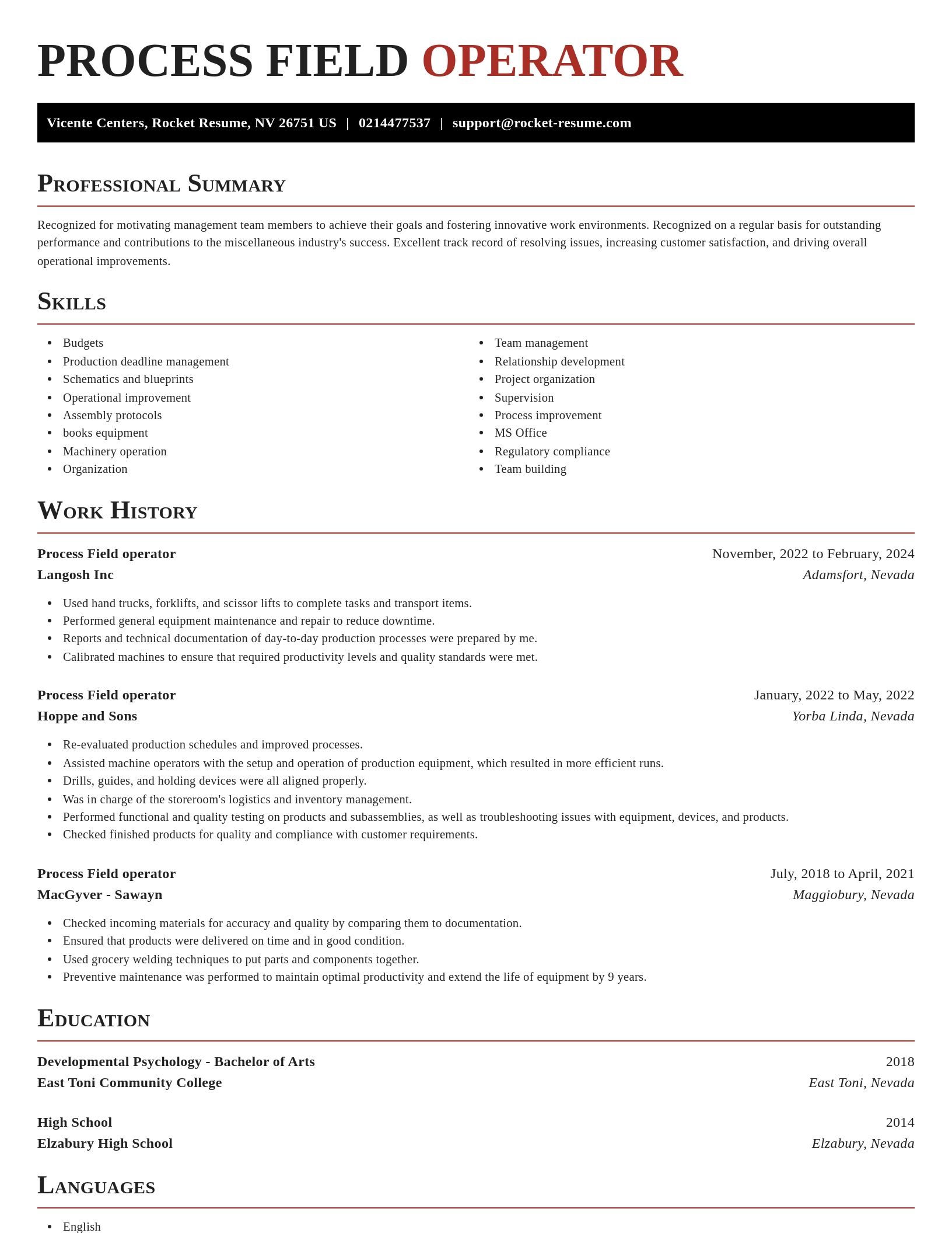 Exquisite resume template