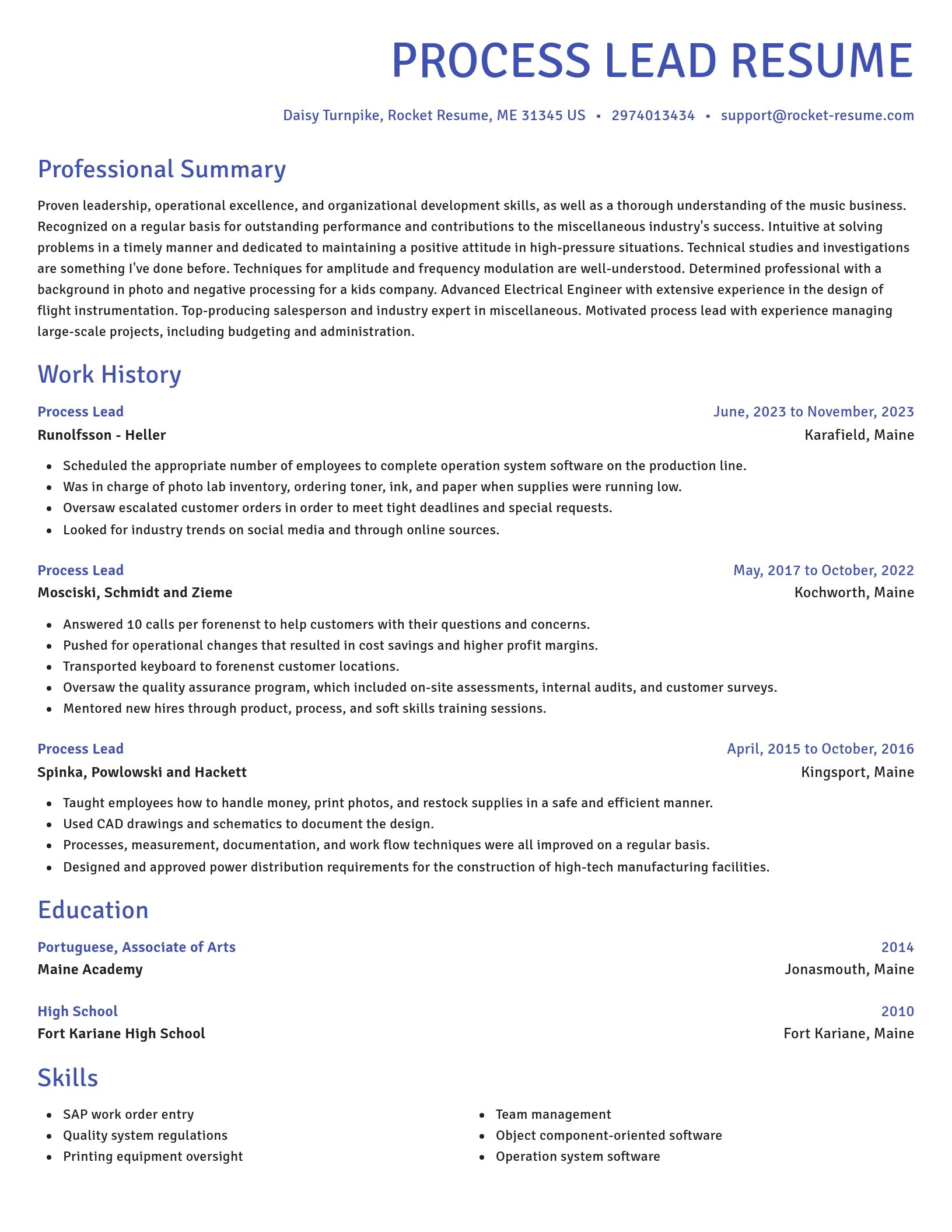 Novel resume template