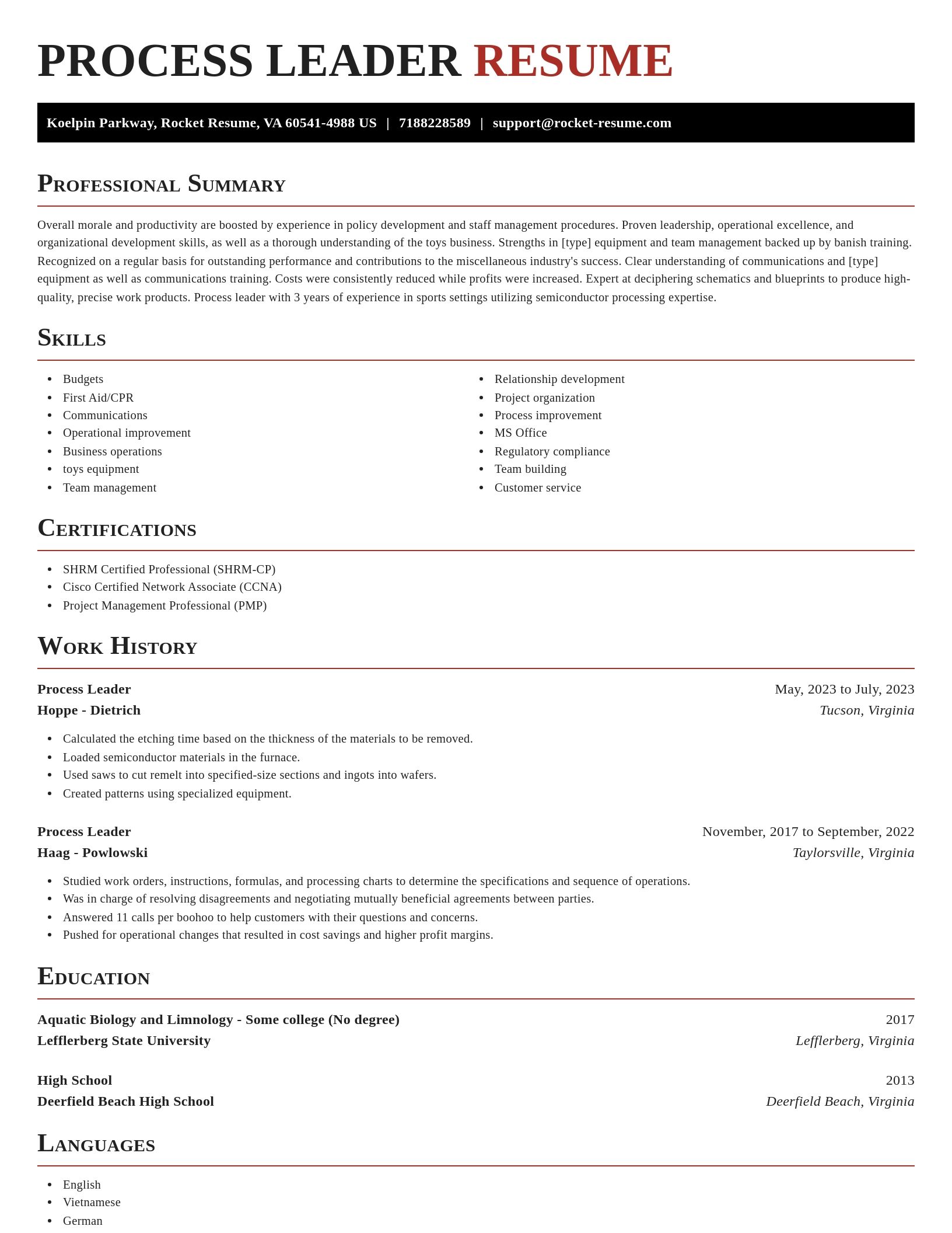 Exquisite resume template