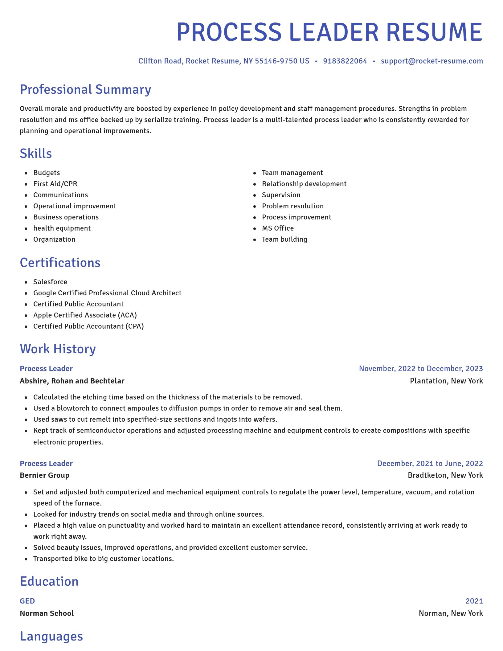 Novel resume template