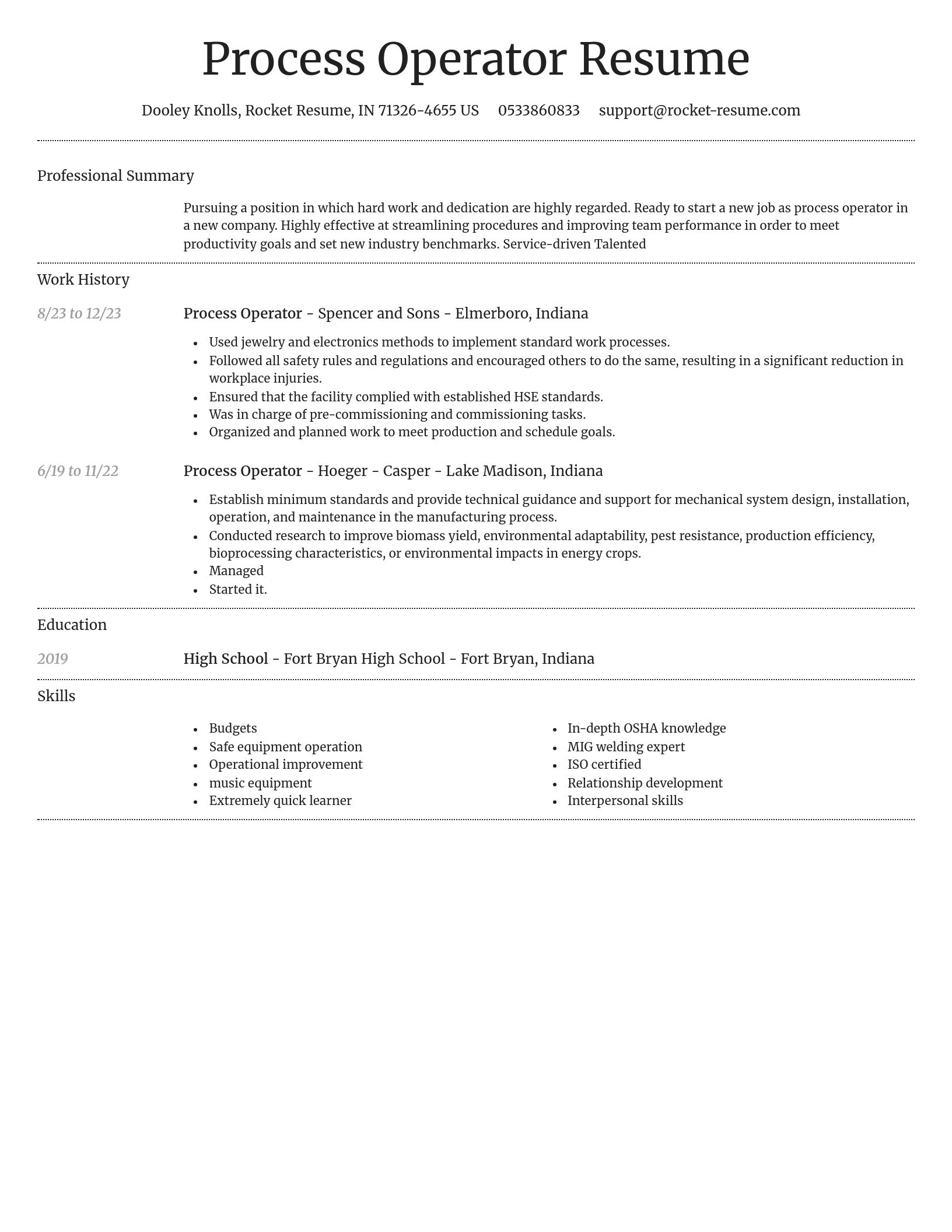 Dignified resume template