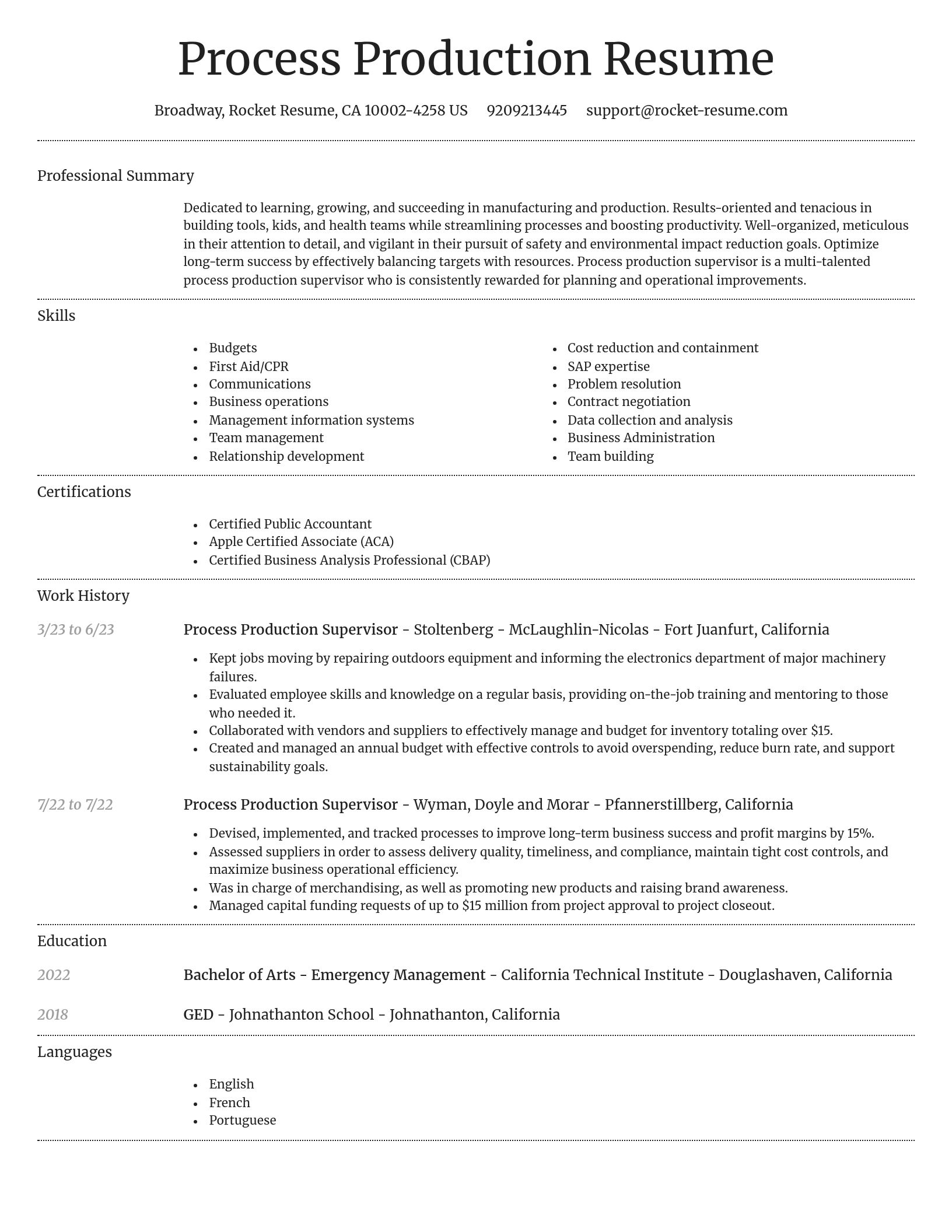 Dignified resume template