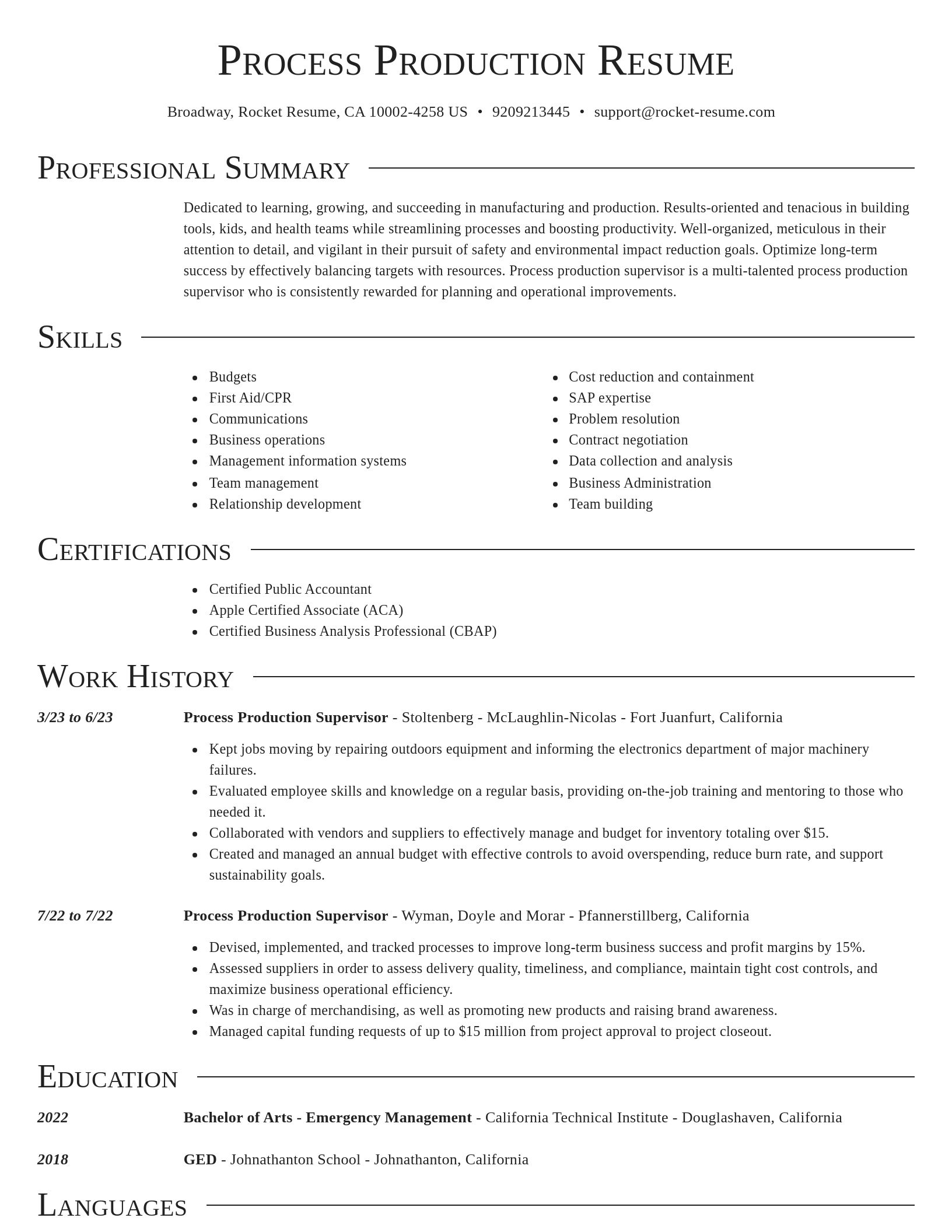 Director resume template