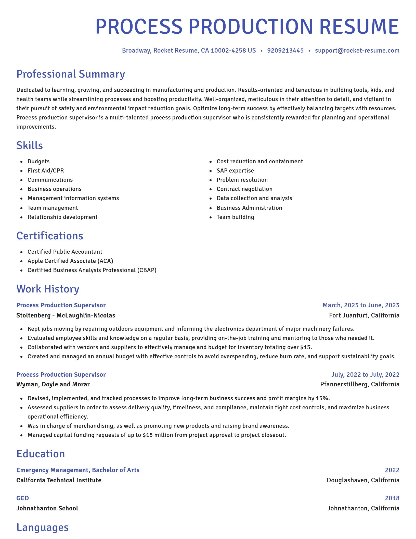 Novel resume template