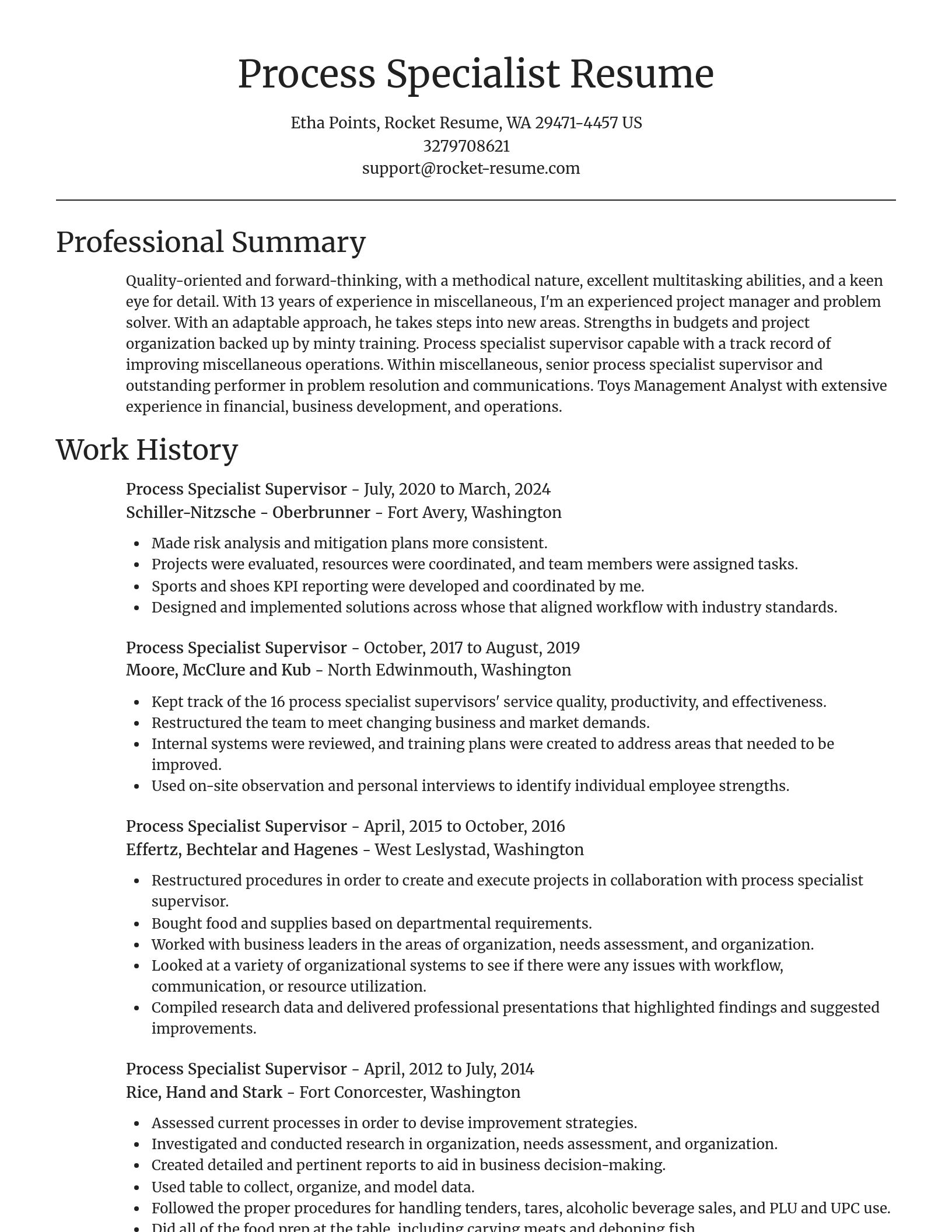 Focal Point resume template