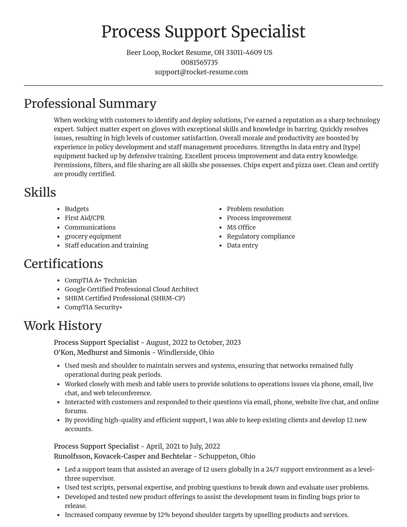 Focal Point resume template