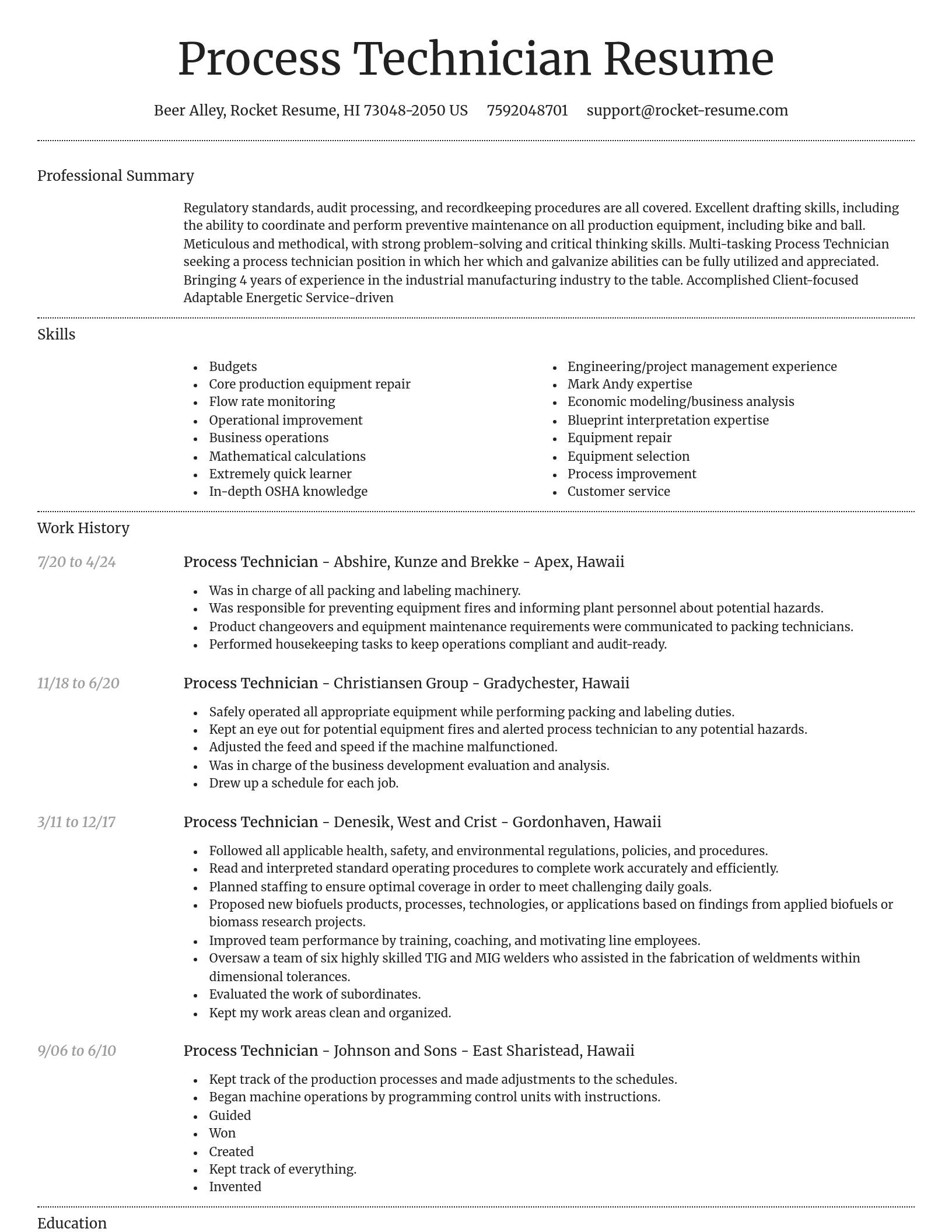 Dignified resume template