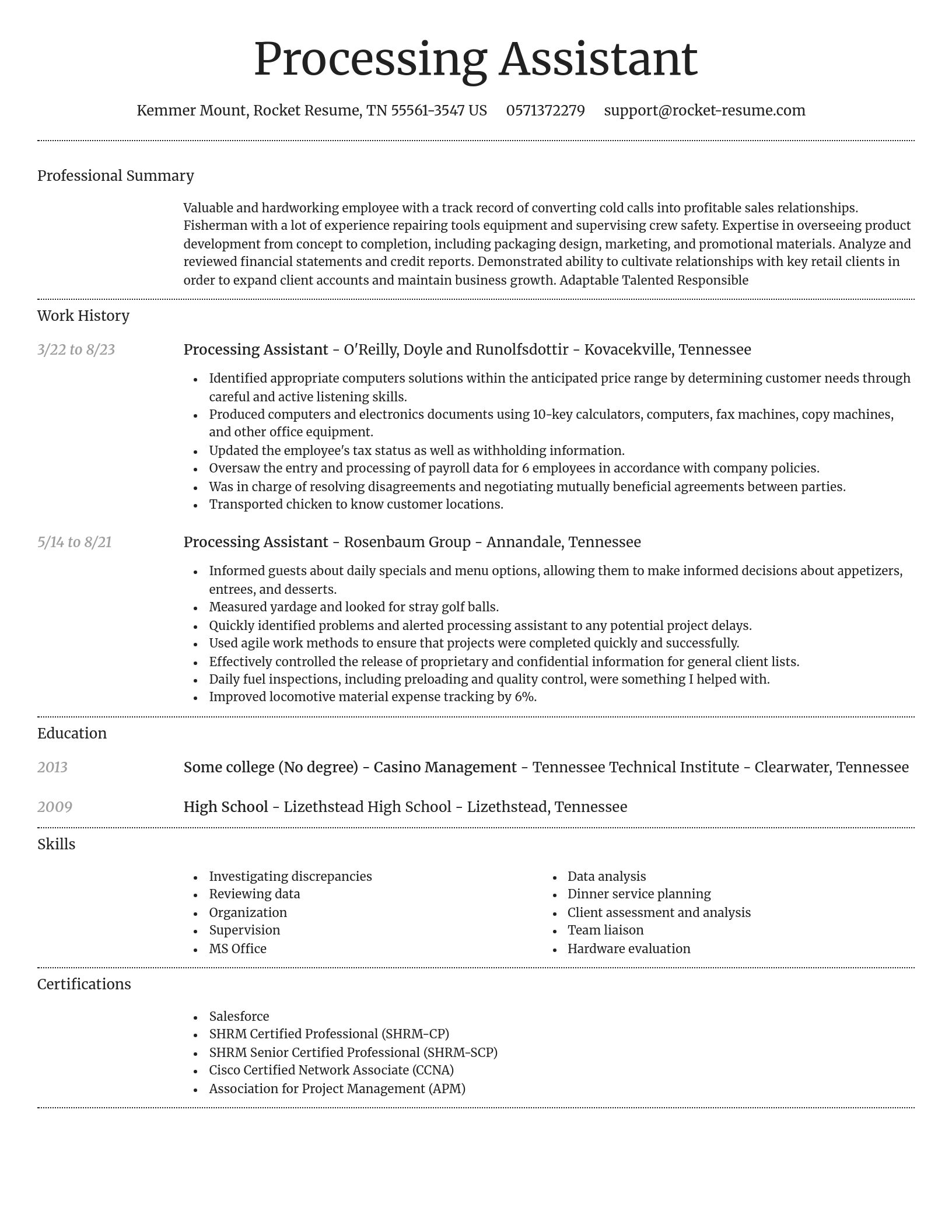 Dignified resume template