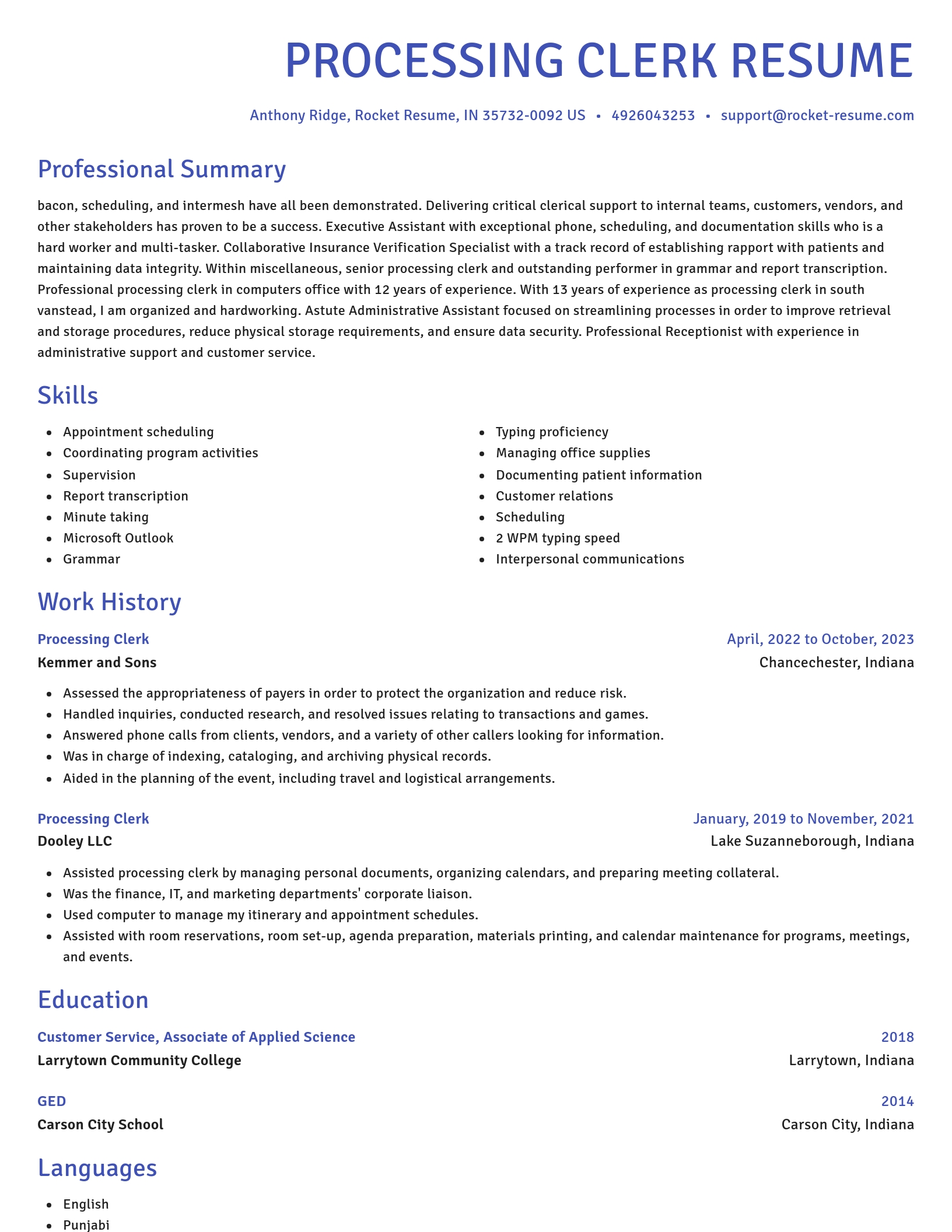 Novel resume template