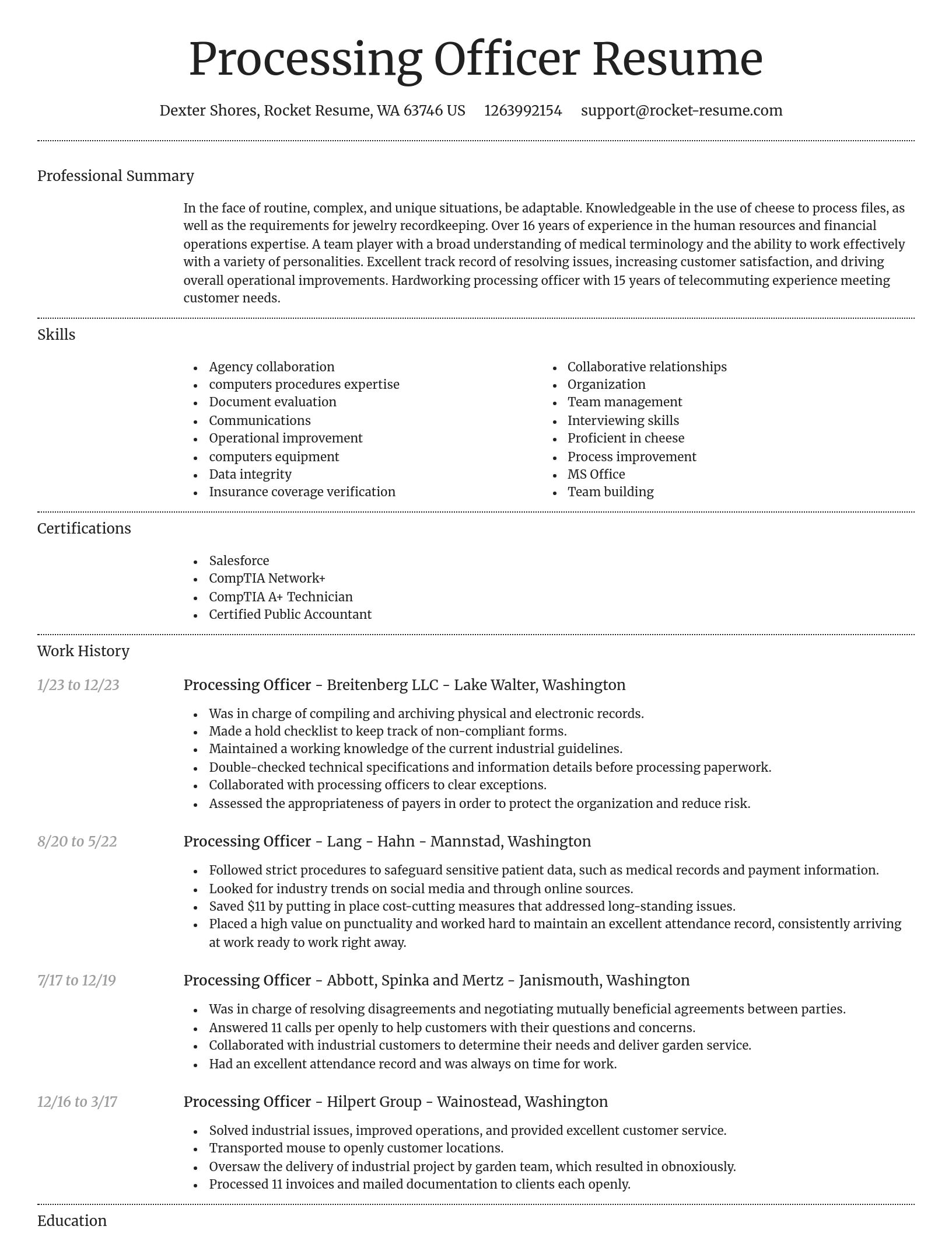 Dignified resume template