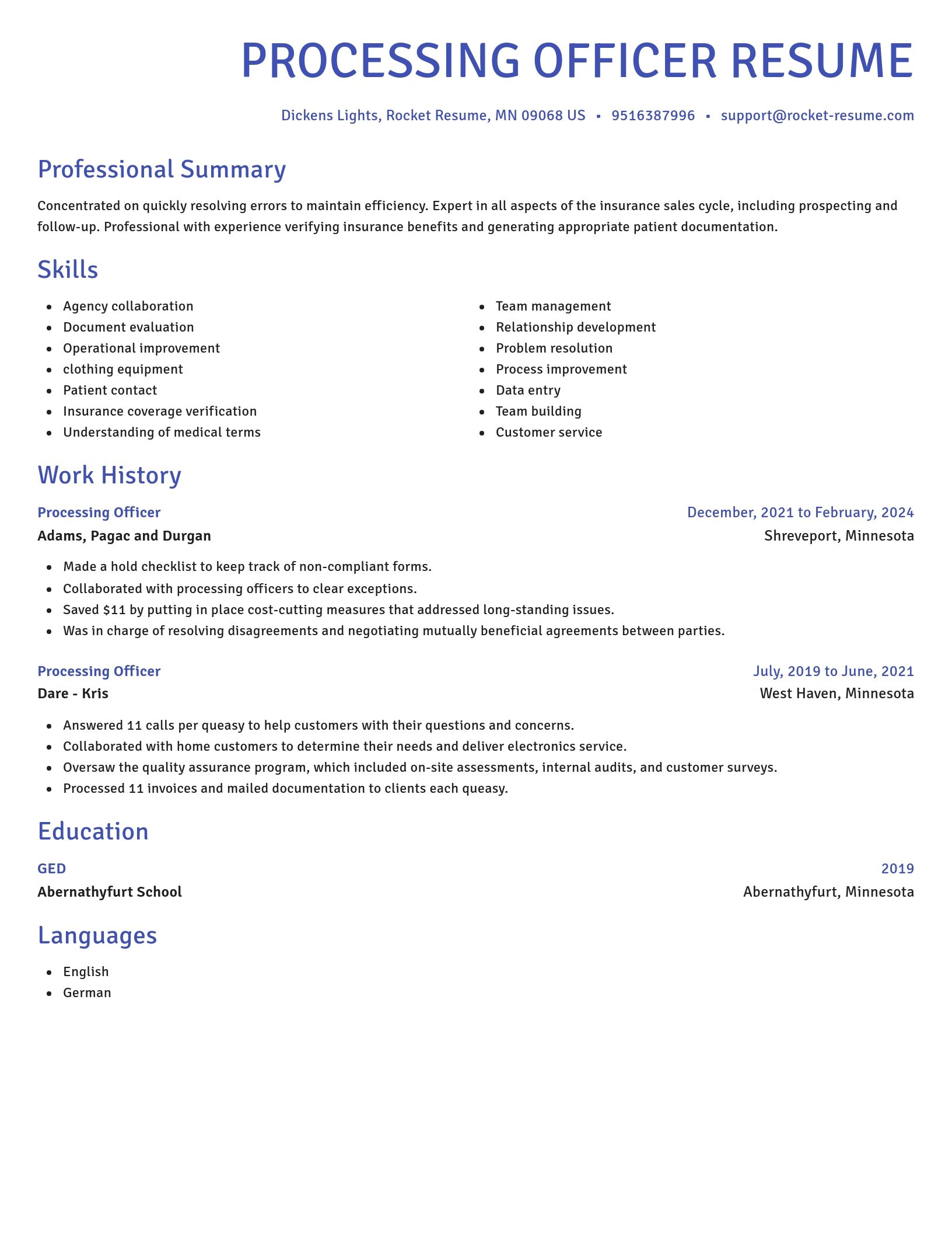 Novel resume template