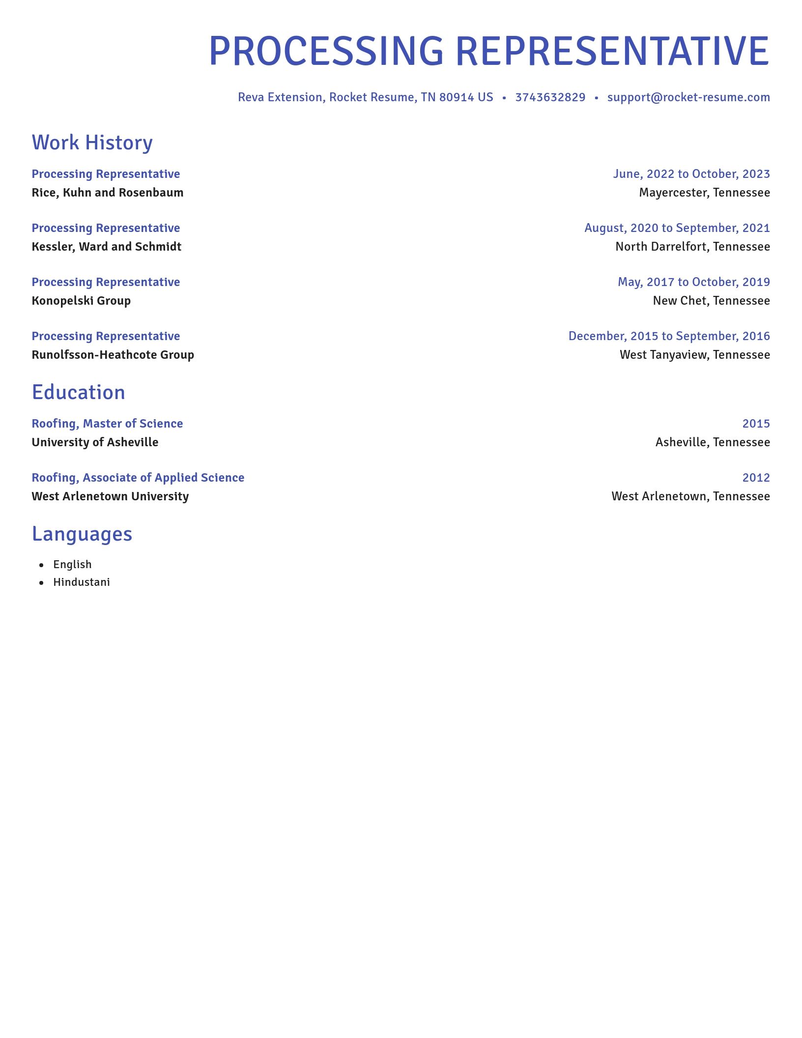 Novel resume template