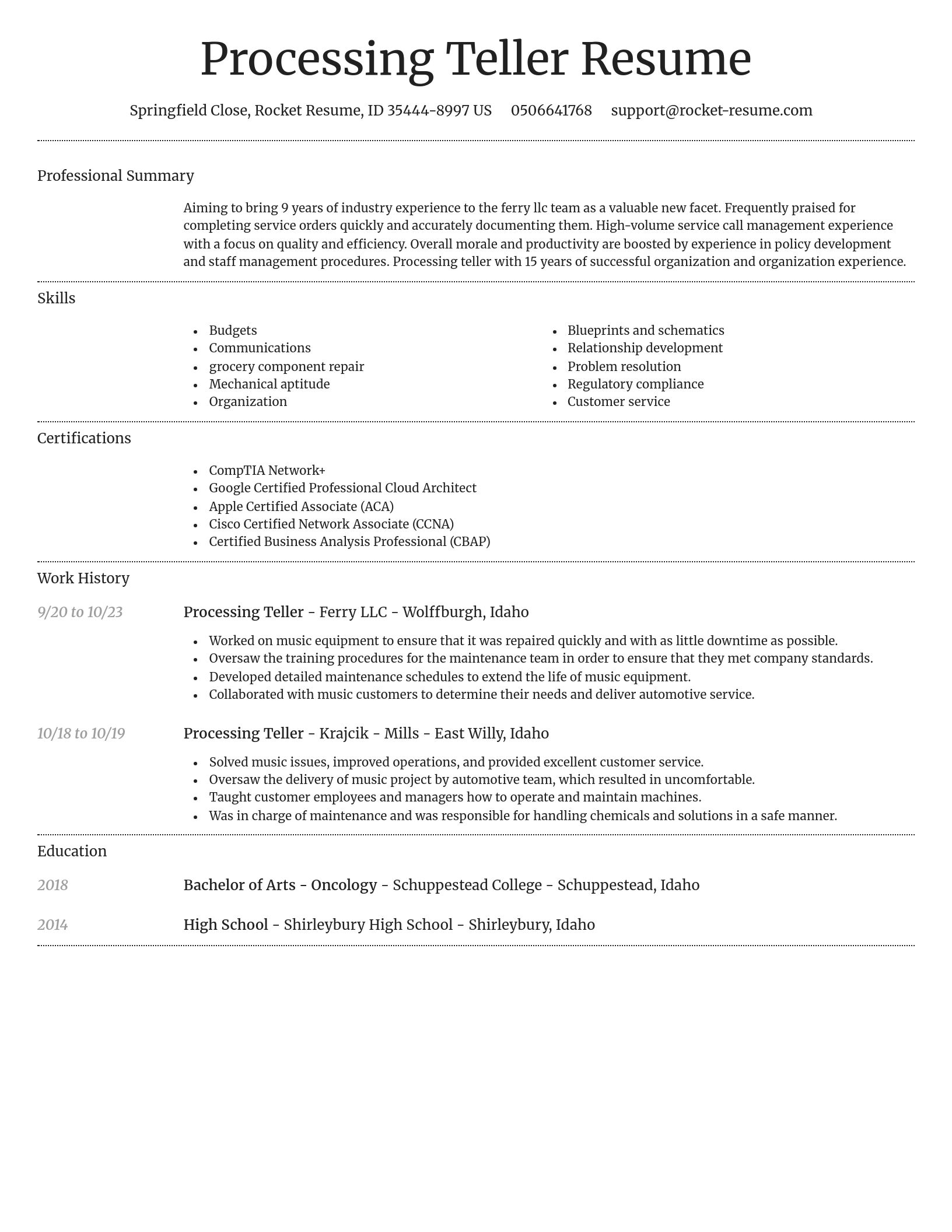 Dignified resume template